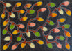 Jacinta Numina Waugh - Bush Tomatoes - 38x52cm .30-4