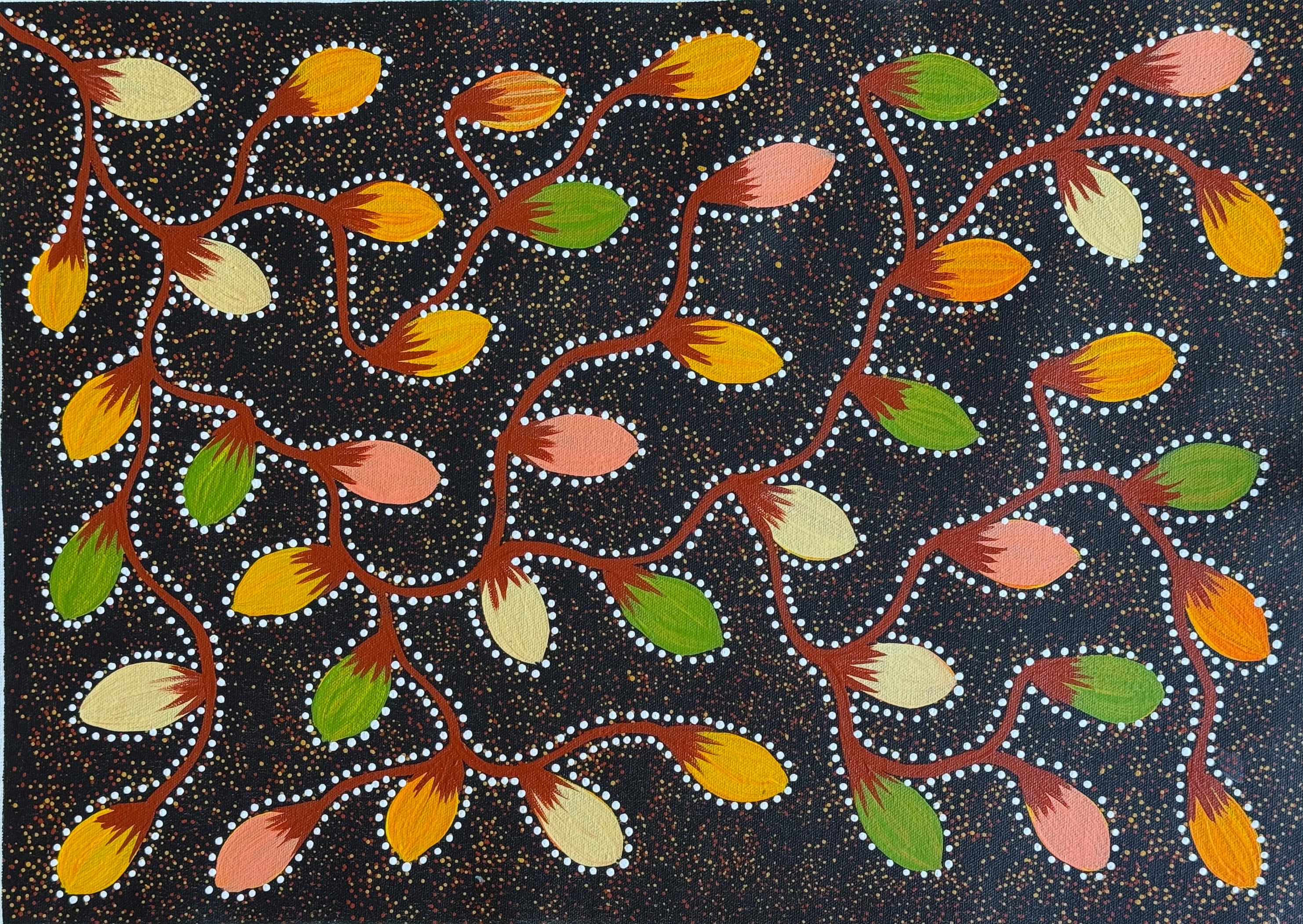 Jacinta Numina Waugh - Bush Tomatoes - 38x52cm .30-4