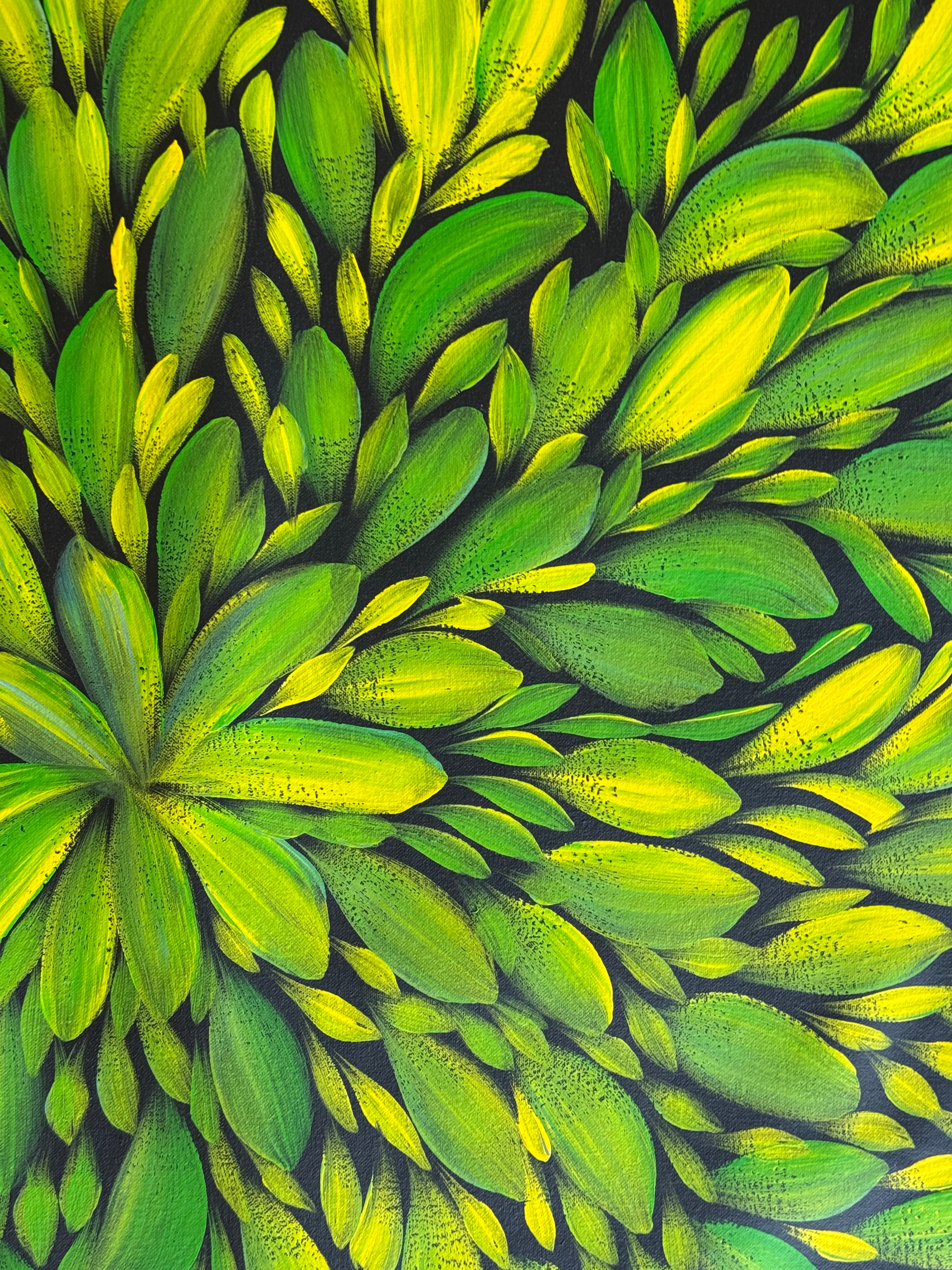Louise Numina Napananka - Bush Medicine Leaves .16-43