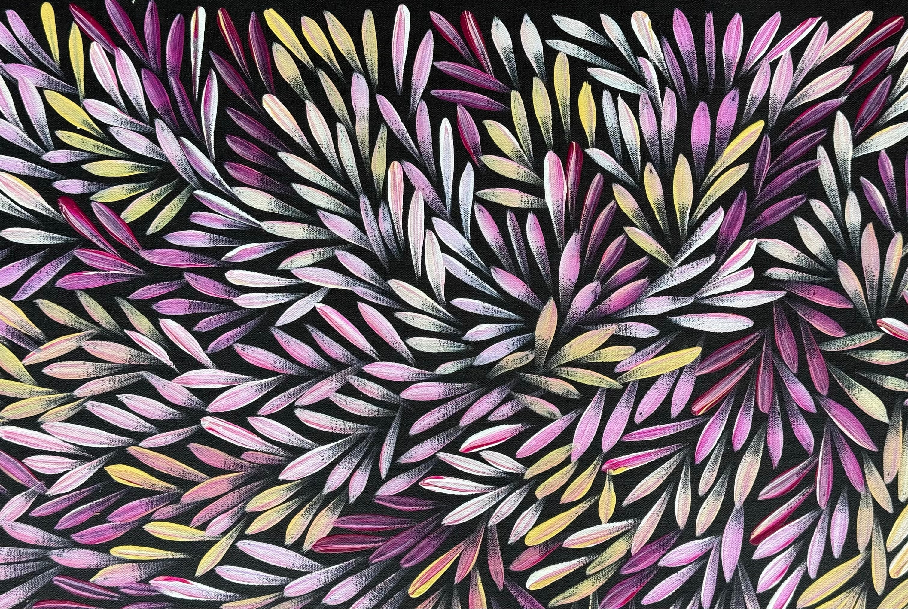 Sharon Numina - Bush Medicine Leaves .59-5