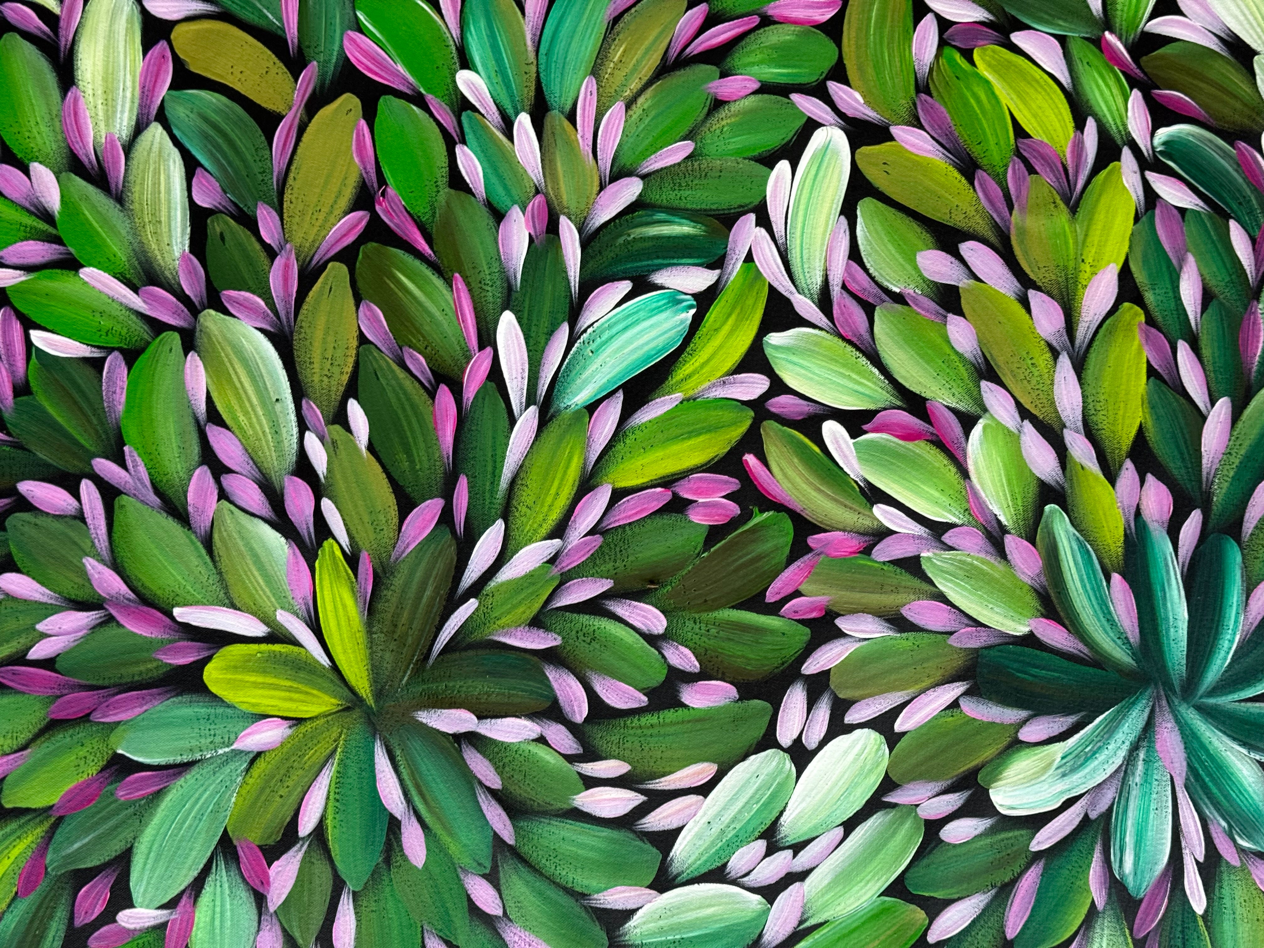 Louise Numina Napananka - Bush Medicine Leaves .16-29