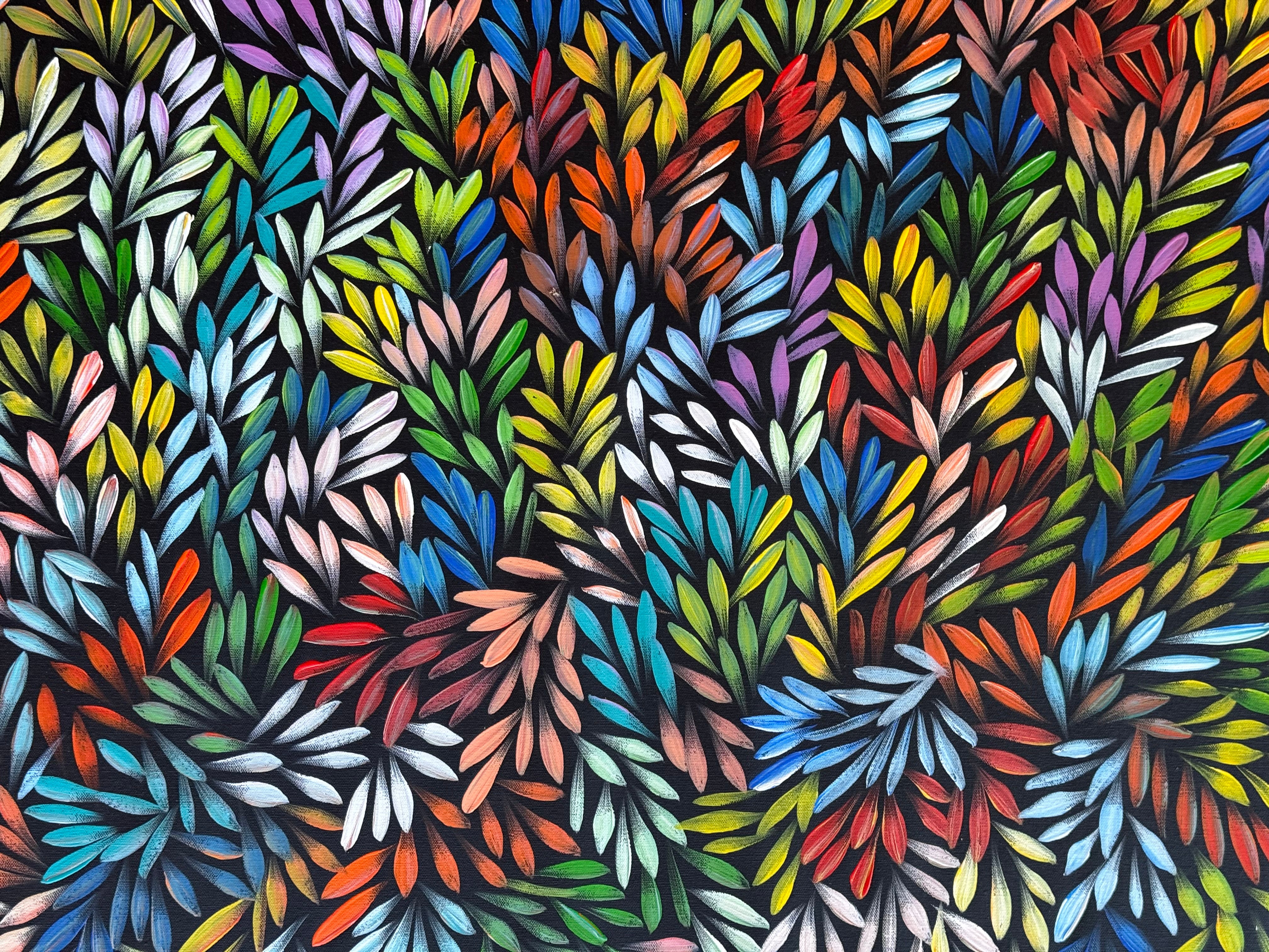 Sharon Numina - Bush Medicine Leaves .01-2