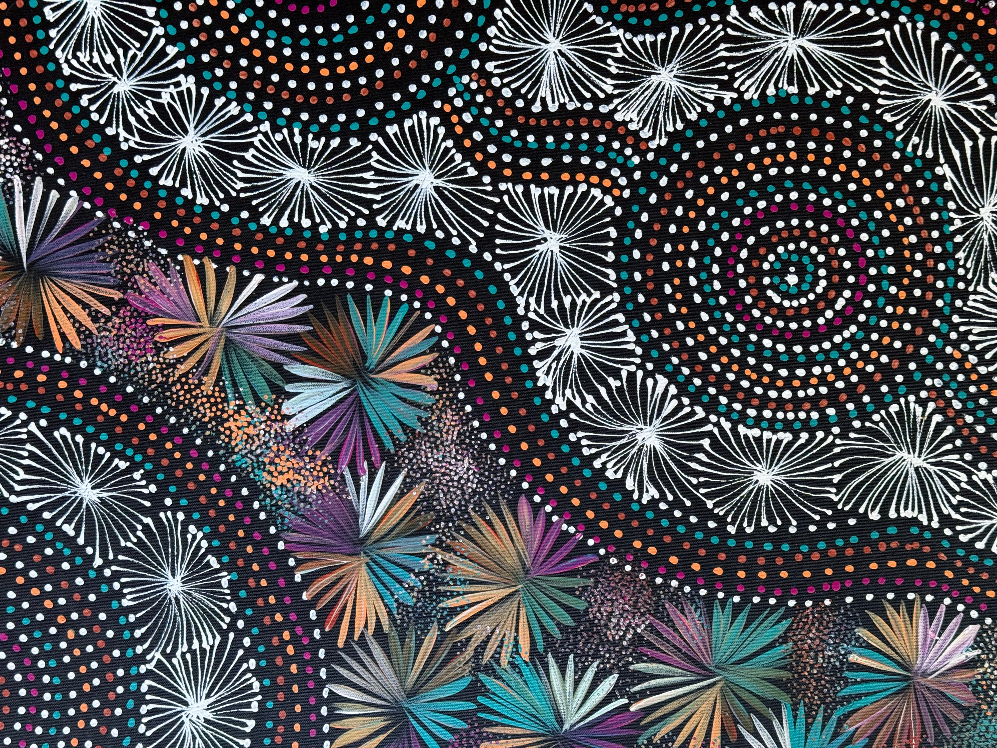 Selina Numina Kamprina - Seeds and Waterholes .92-18