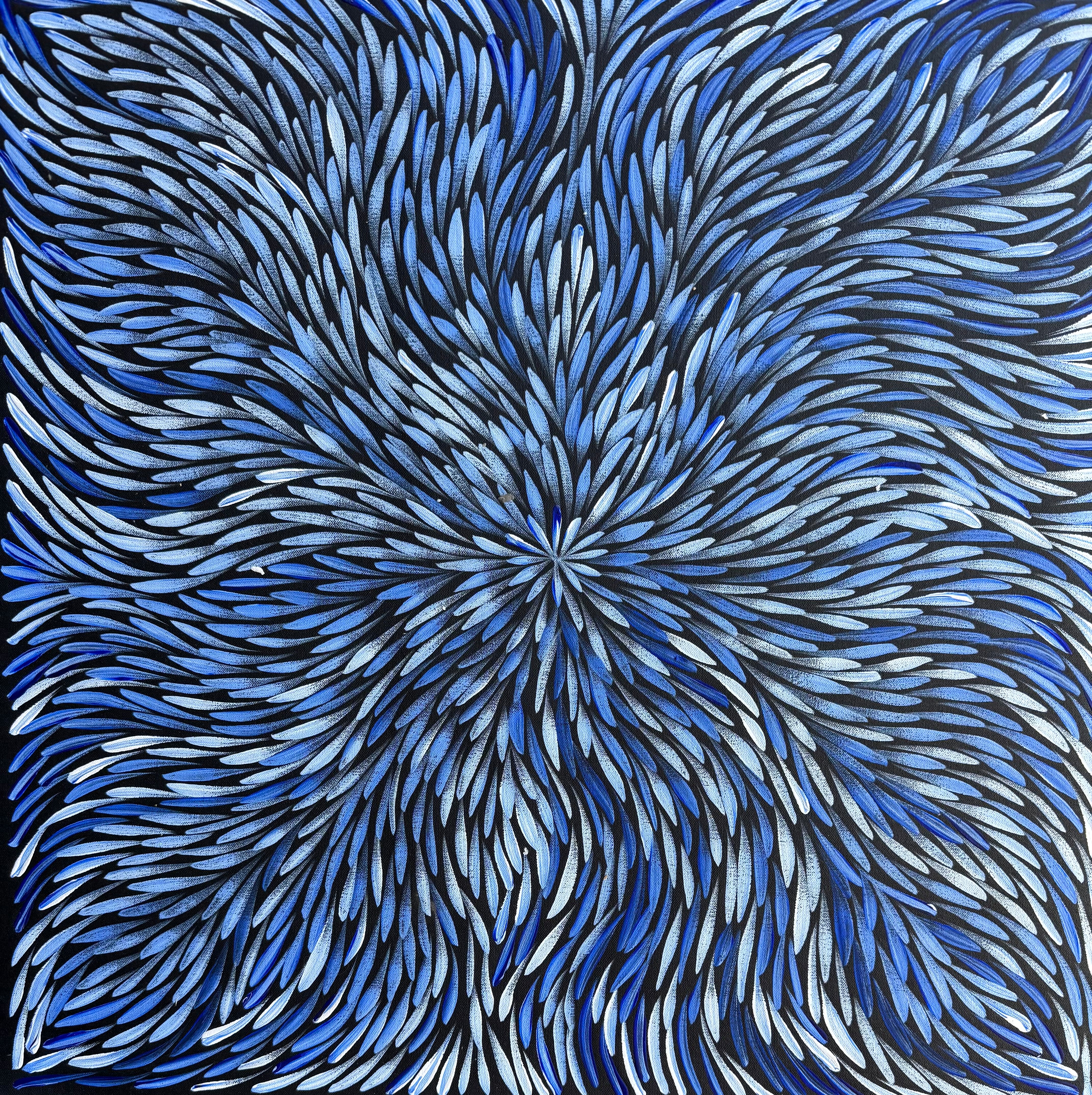 Sharon Numina - Bush Medicine Leaves .01-6