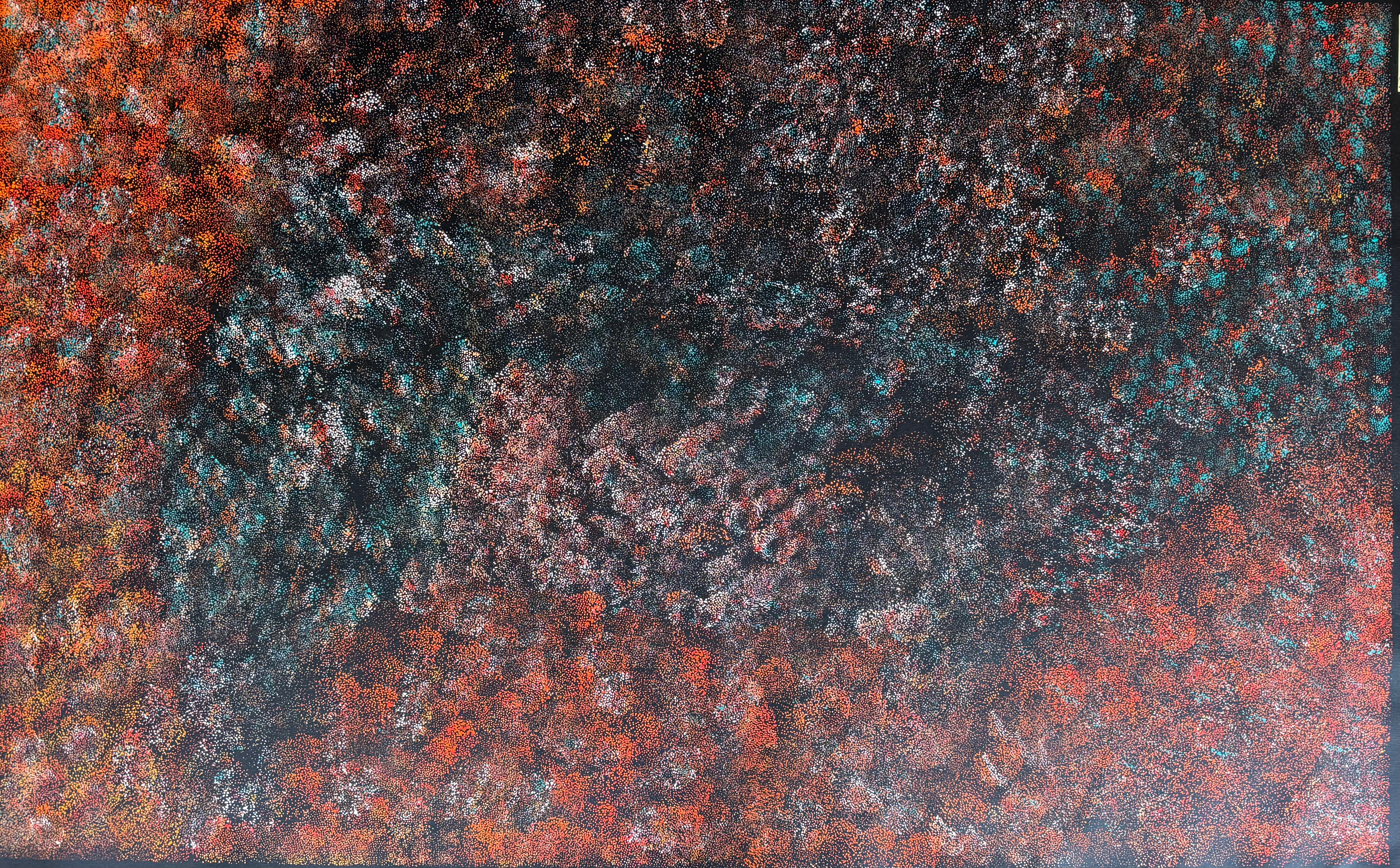 Lanita Numina - Thorny Lizard Changing Colours .97-5