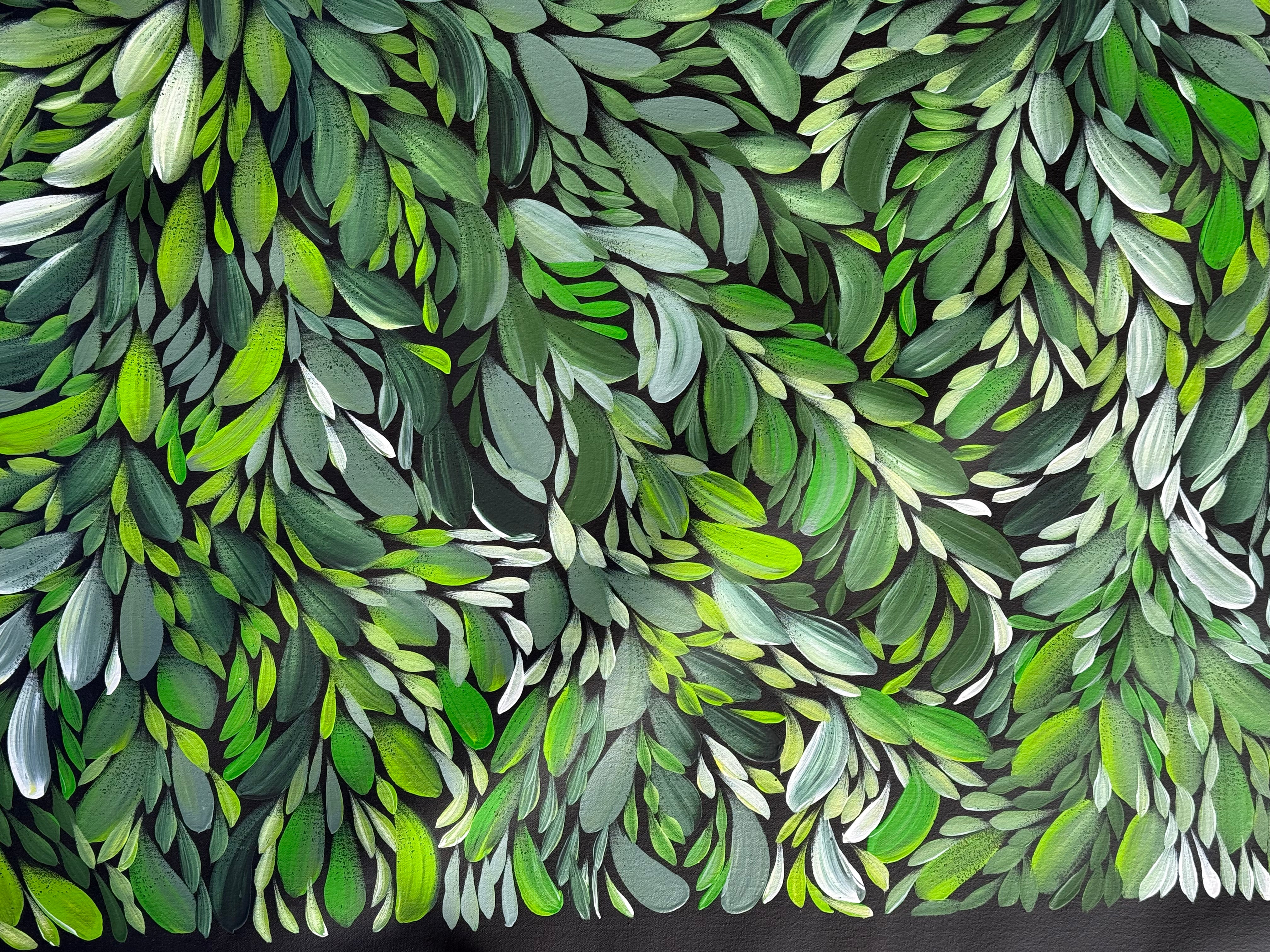 Louise Numina Napananka - Bush Medicine Leaves .18-13