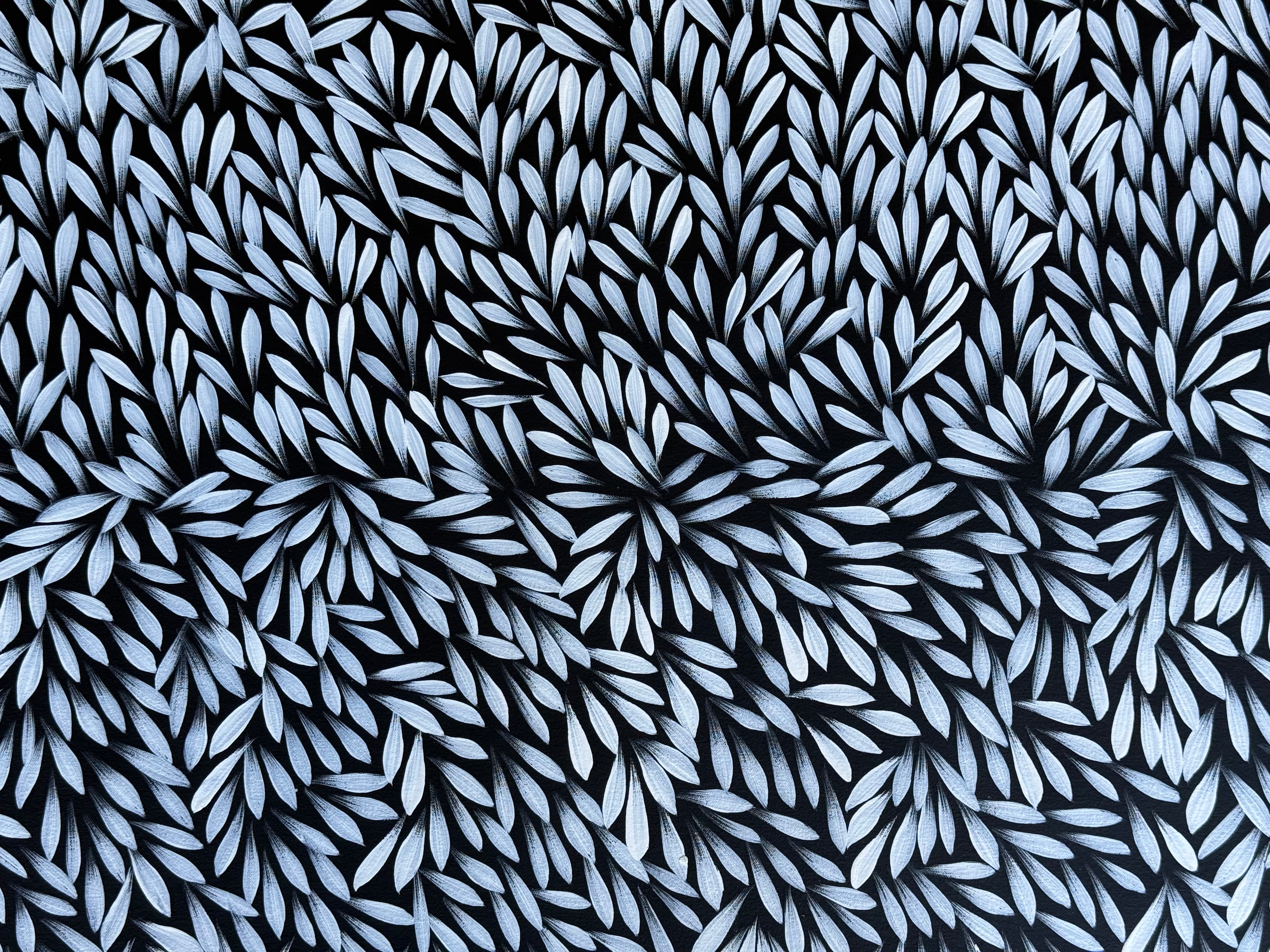 Sharon Numina - Bush Medicine Leaves .50-8