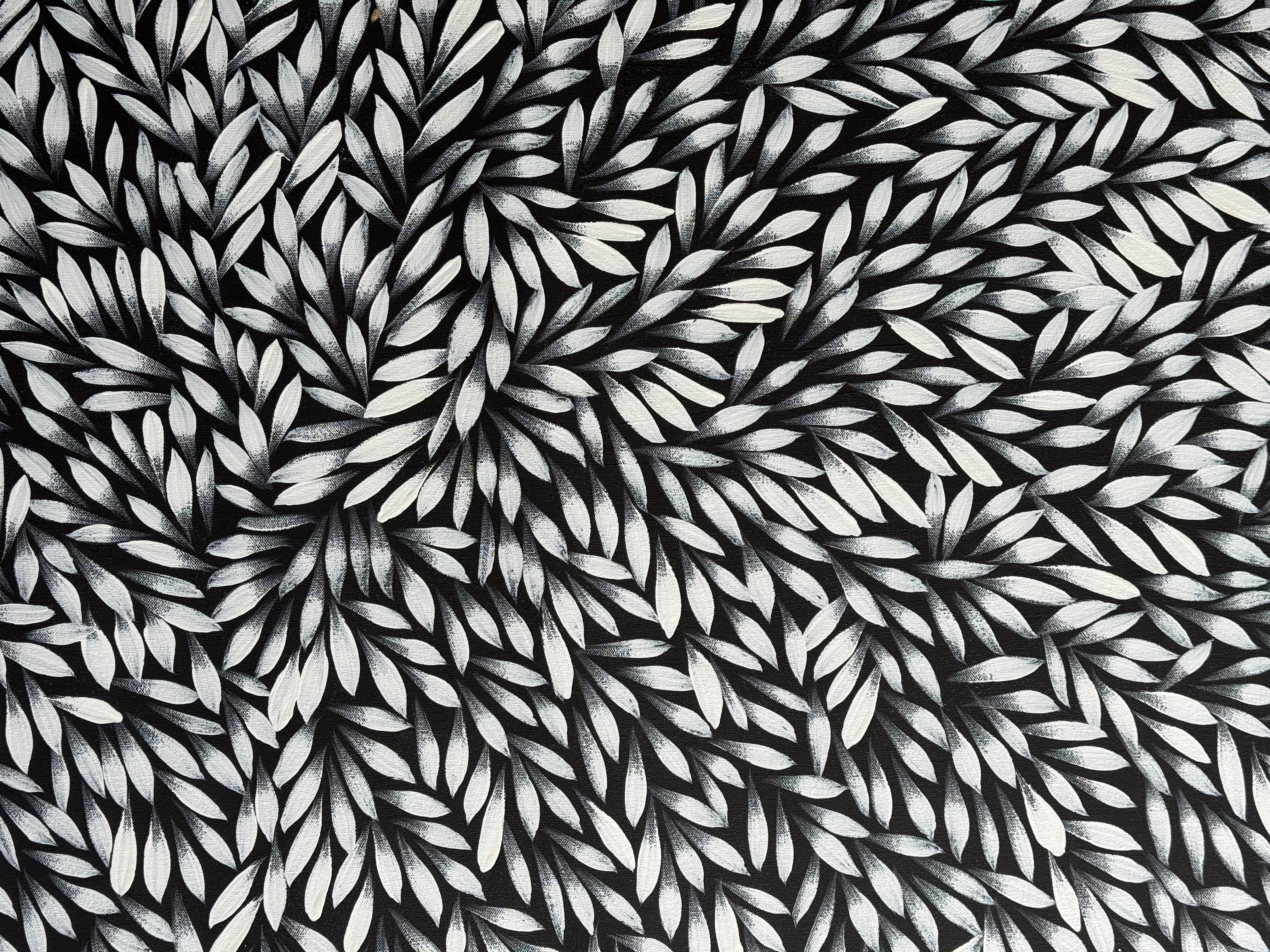 Sharon Numina - Bush Medicine Leaves .83-5