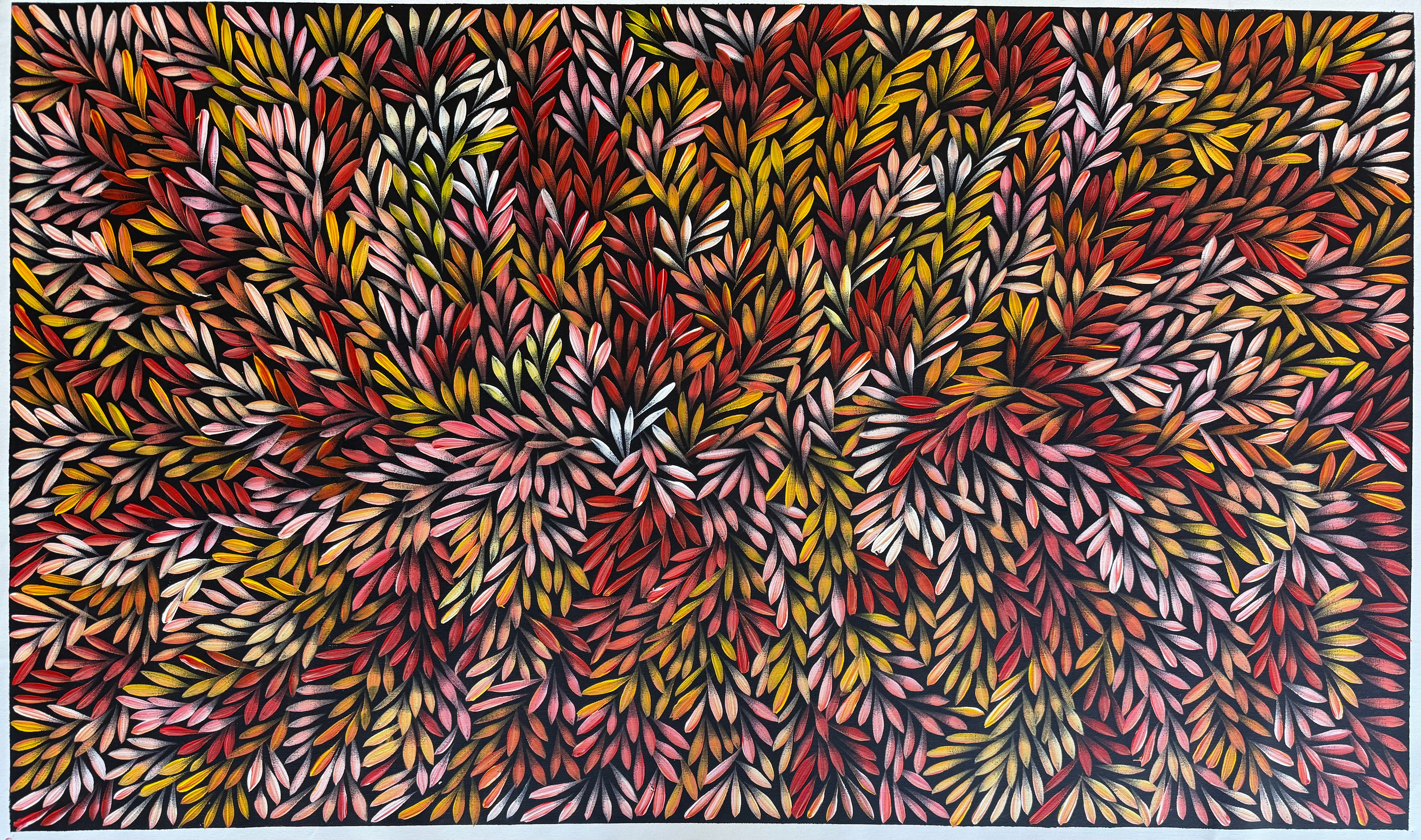 Sharon Numina - Bush Medicine Leaves .83-1
