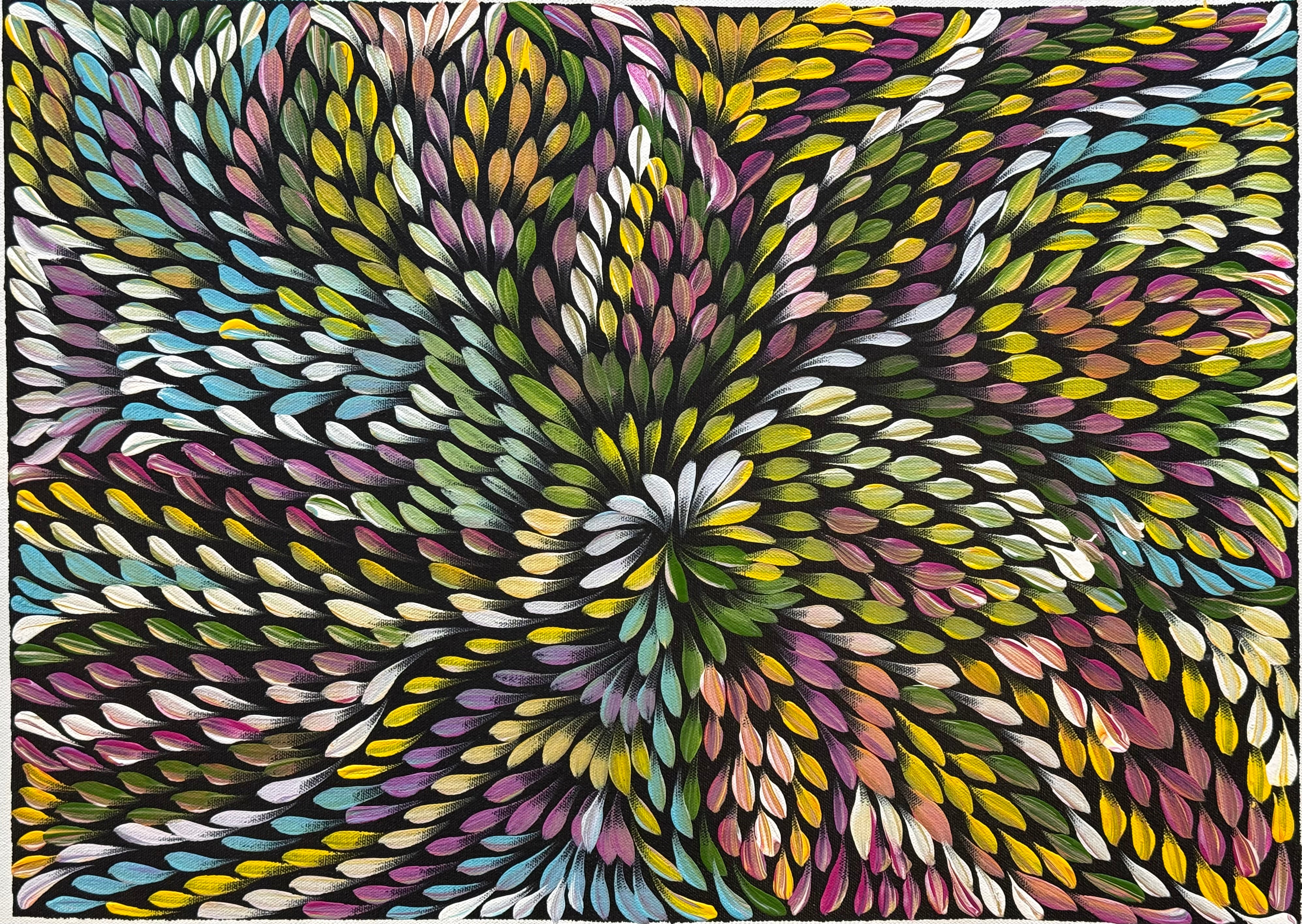 Caroline Numina - Bush Medicine Leaves .04-32