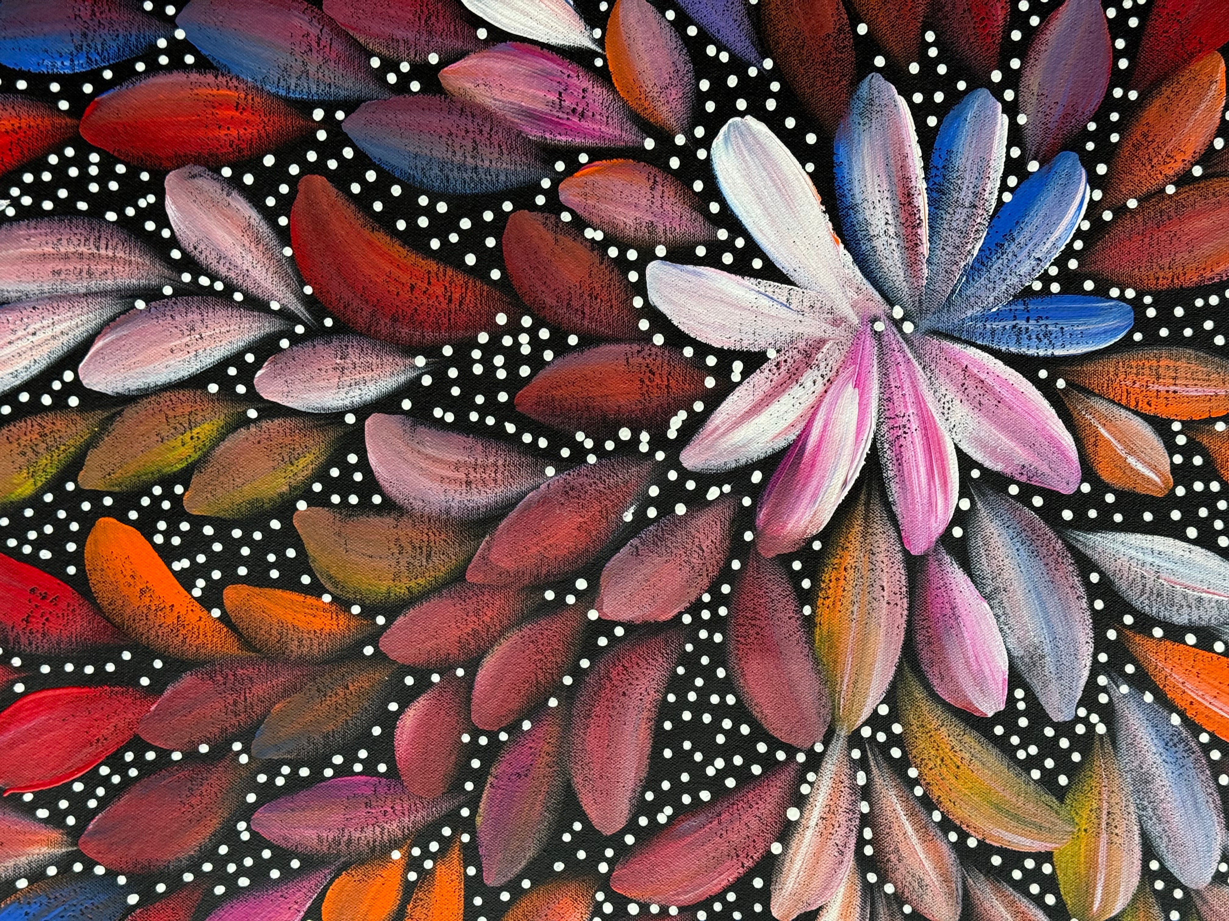 Louise Numina Napananka - Bush Medicine Leaves and Seeds .29-8
