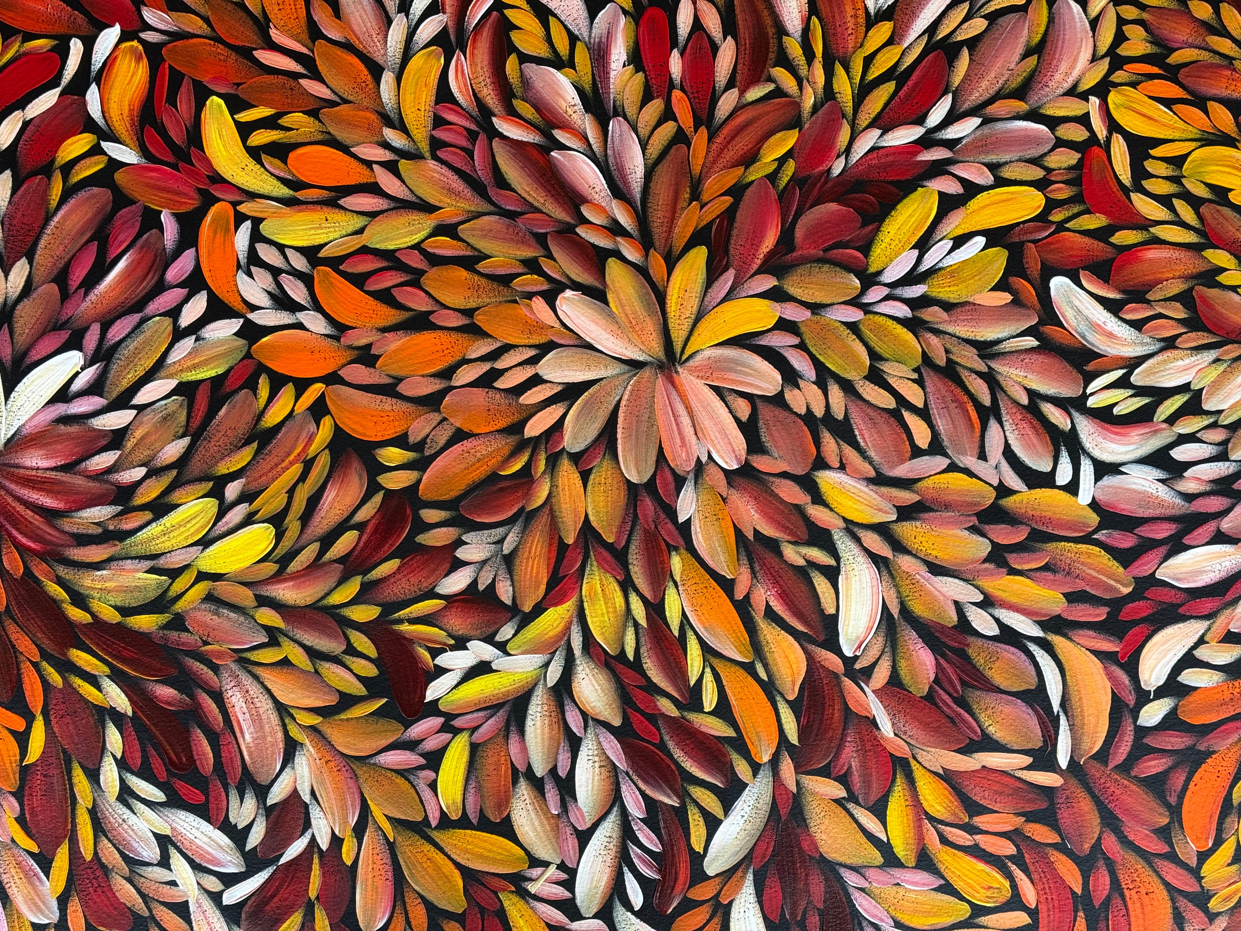 Louise Numina Napananka - Bush Medicine Leaves .24-3