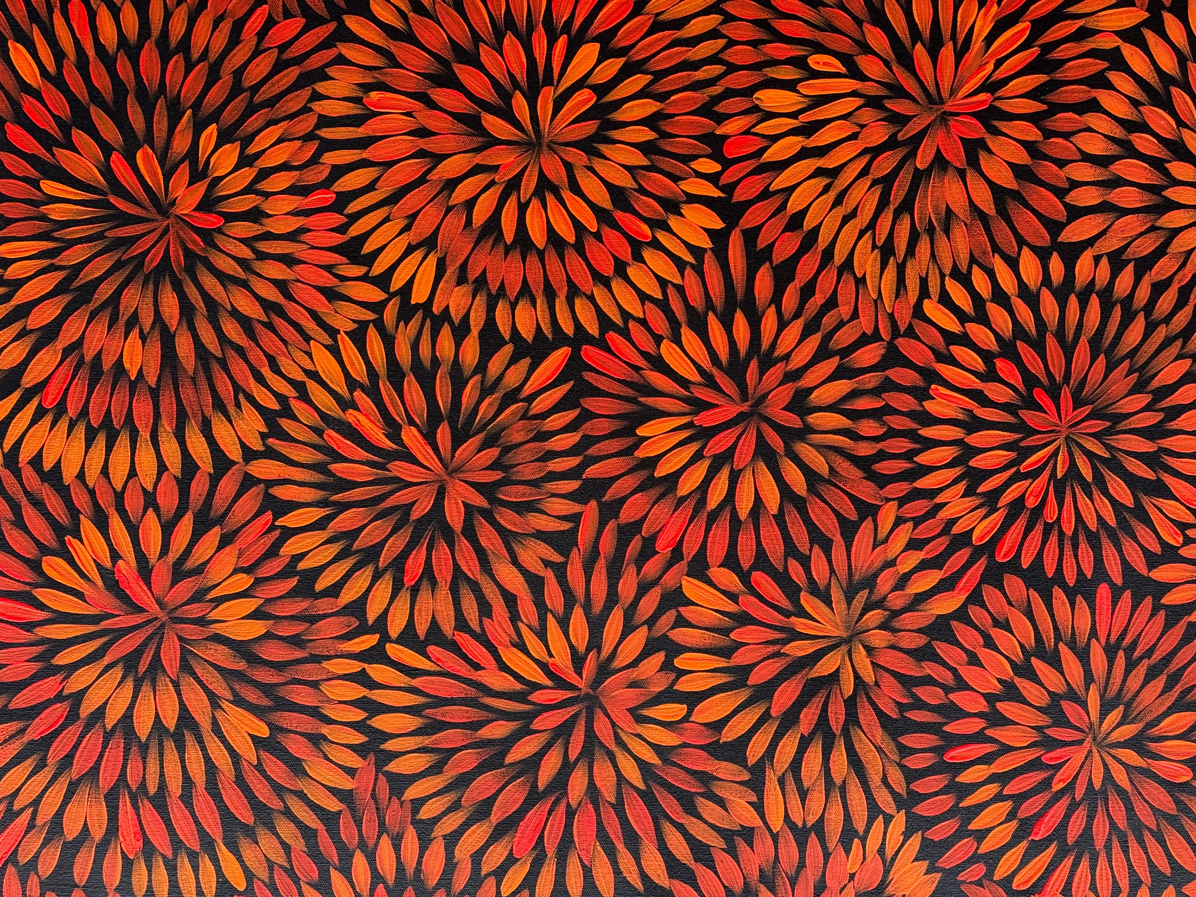 Sharon Numina - Bush Medicine Flowers .68-8