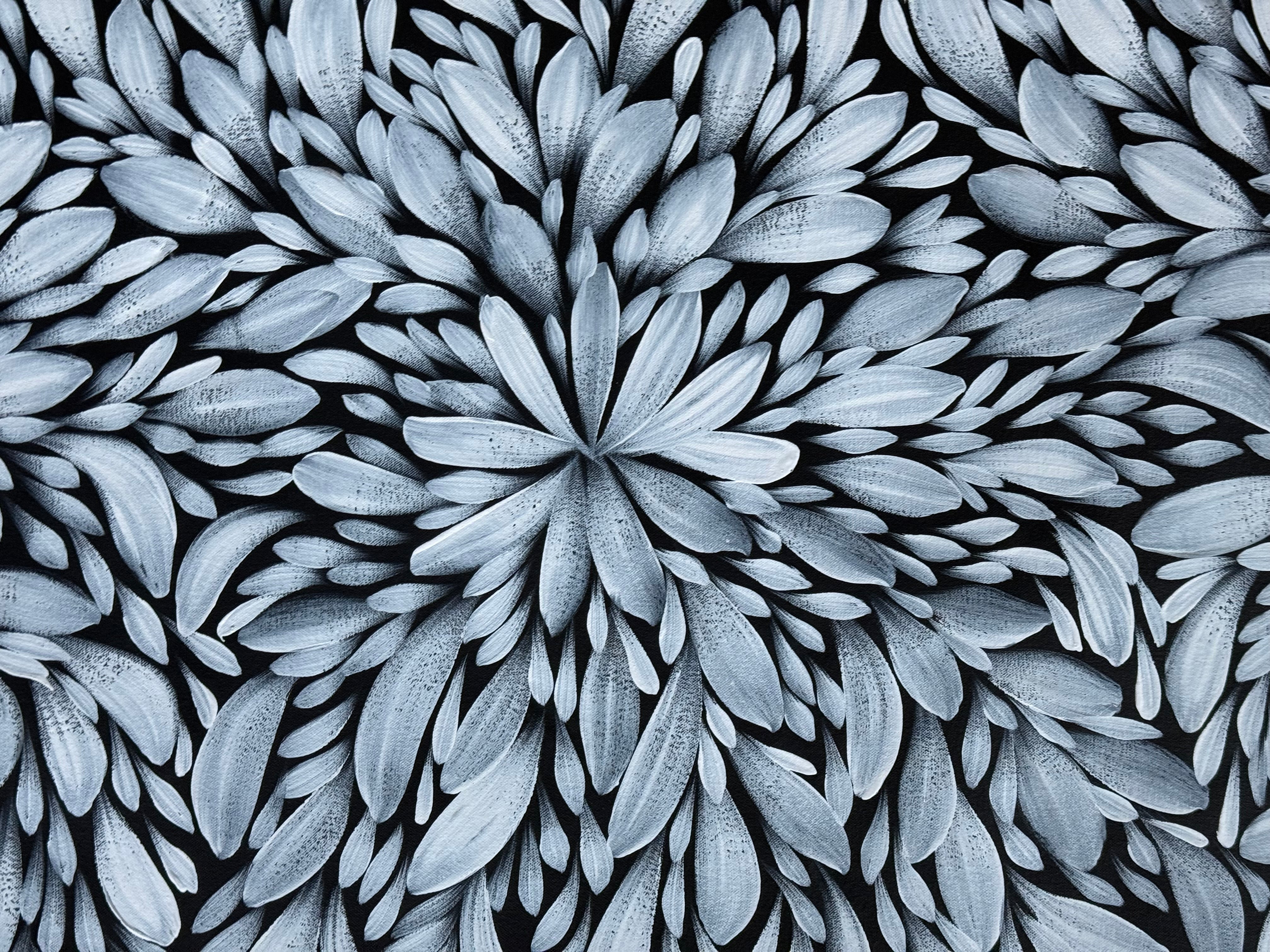 Louise Numina Napananka - Bush Medicine Leaves .16-33