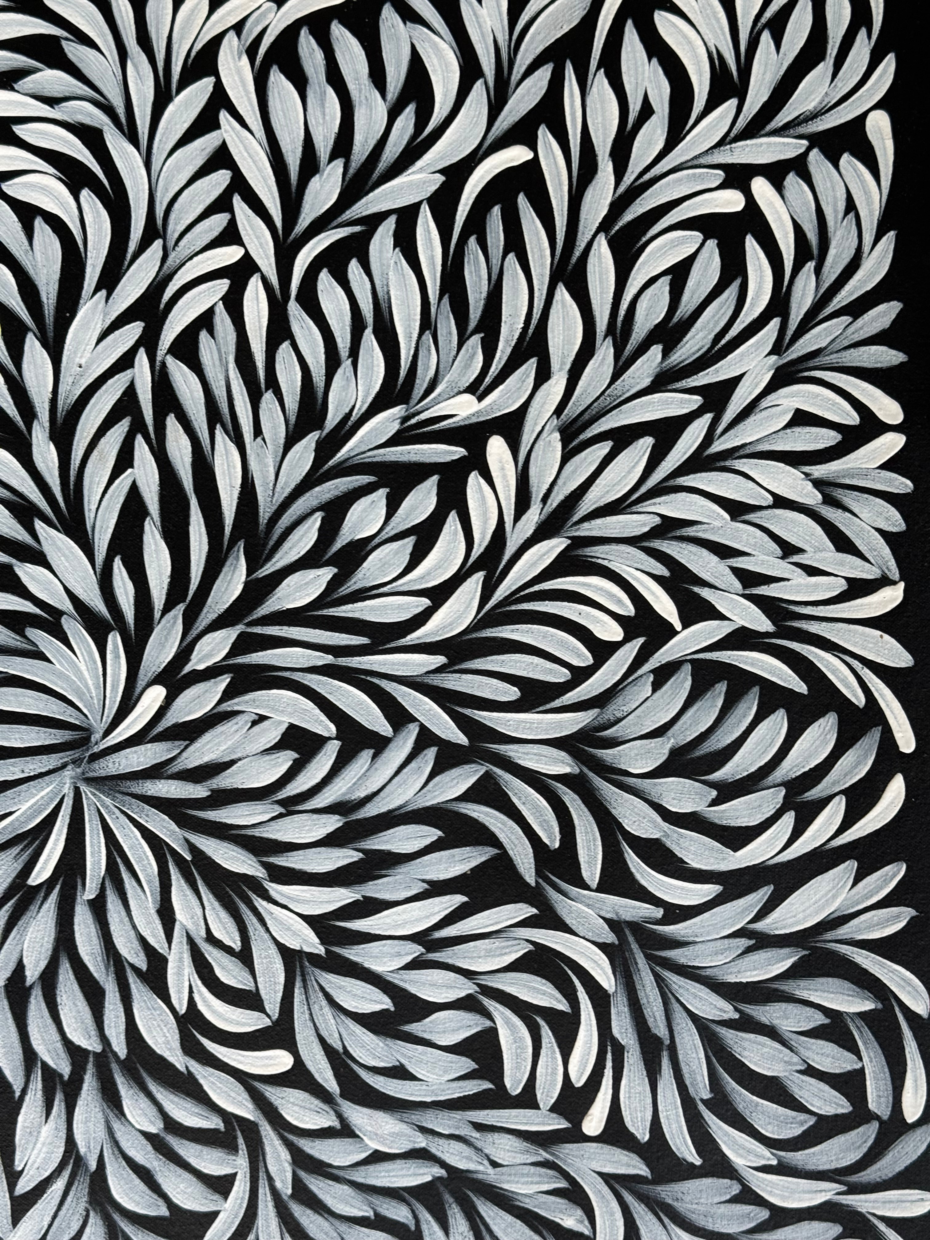 Louise Numina Napananka - Bush Medicine Leaves .16-50