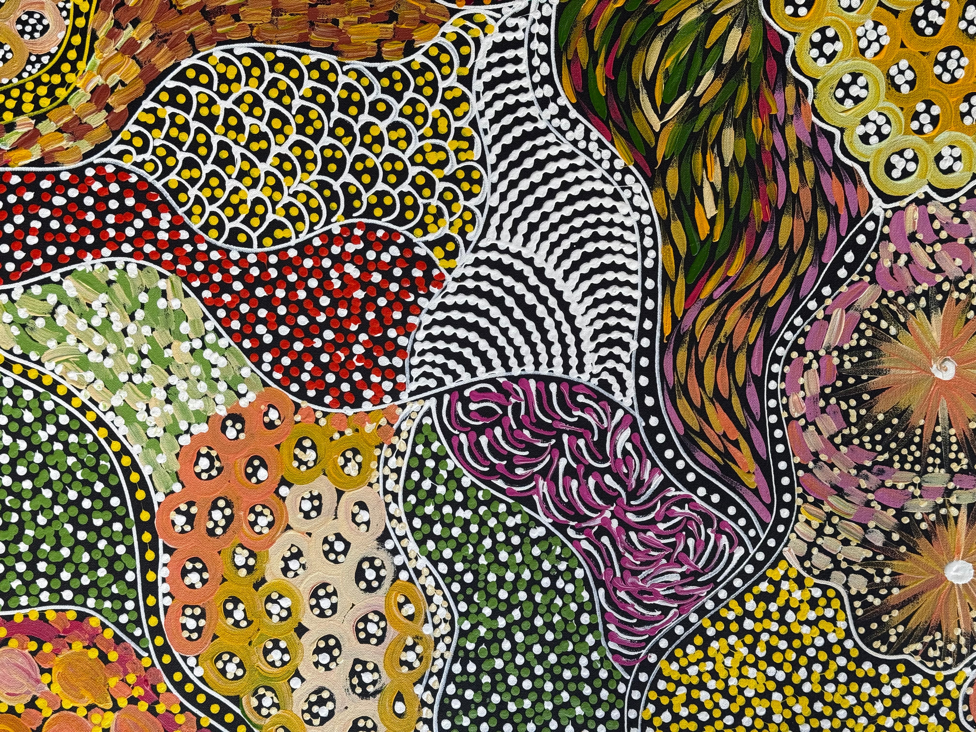 Janet Golder Kngwarreye - My Country .002