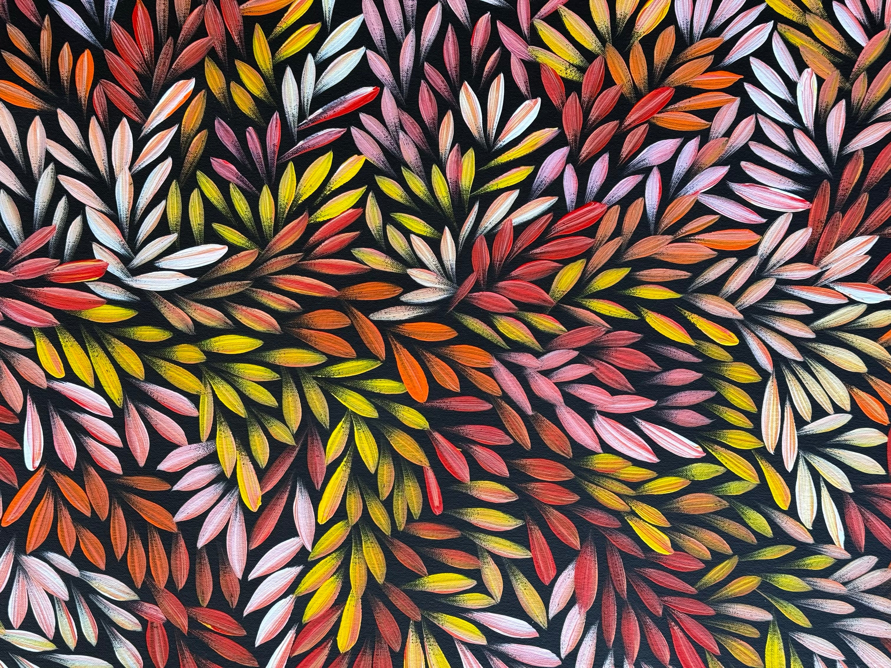 Sharon Numina - Bush Medicine Leaves .50-15