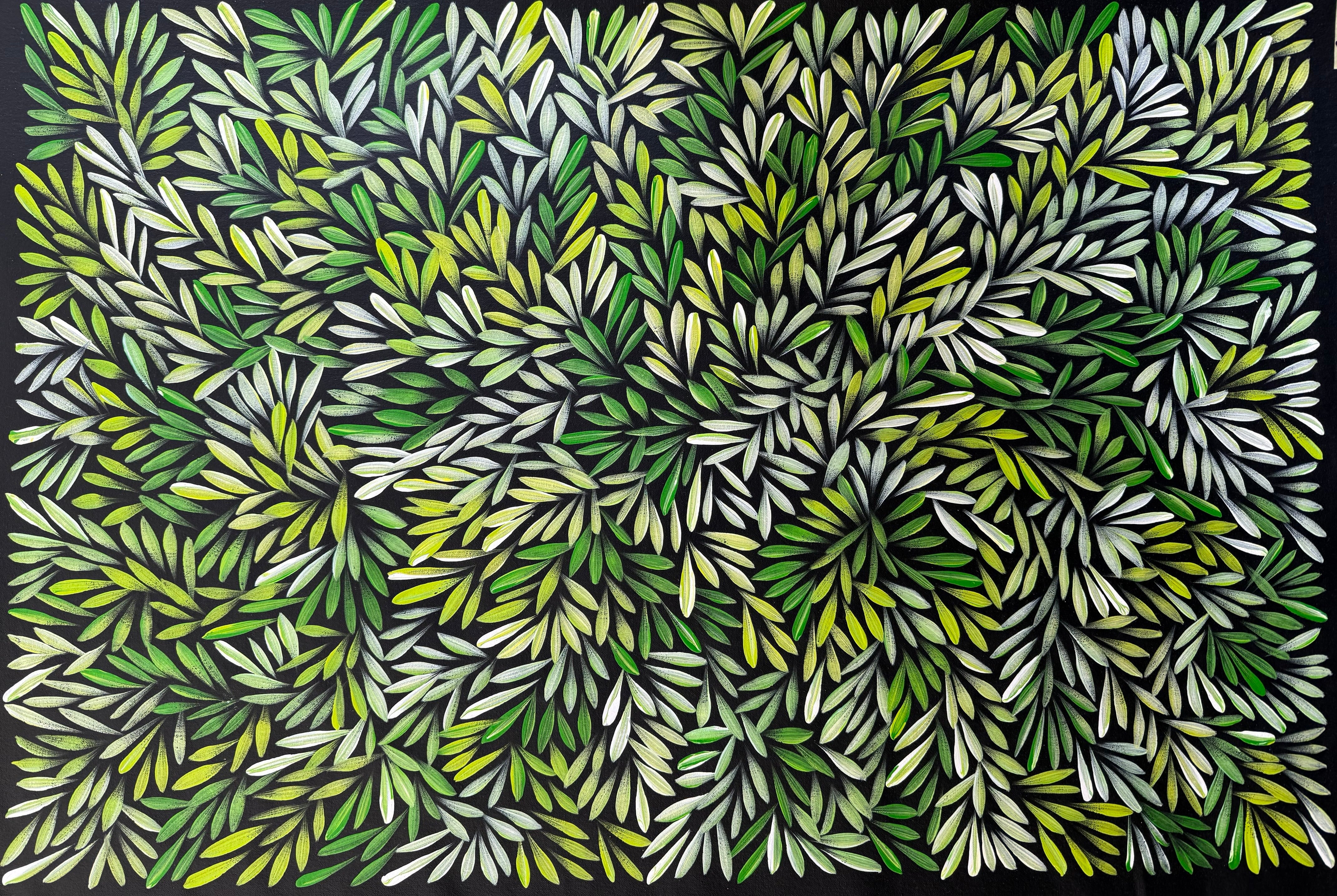 Sharon Numina - Bush Medicine Leaves - 62x92cm .14-11