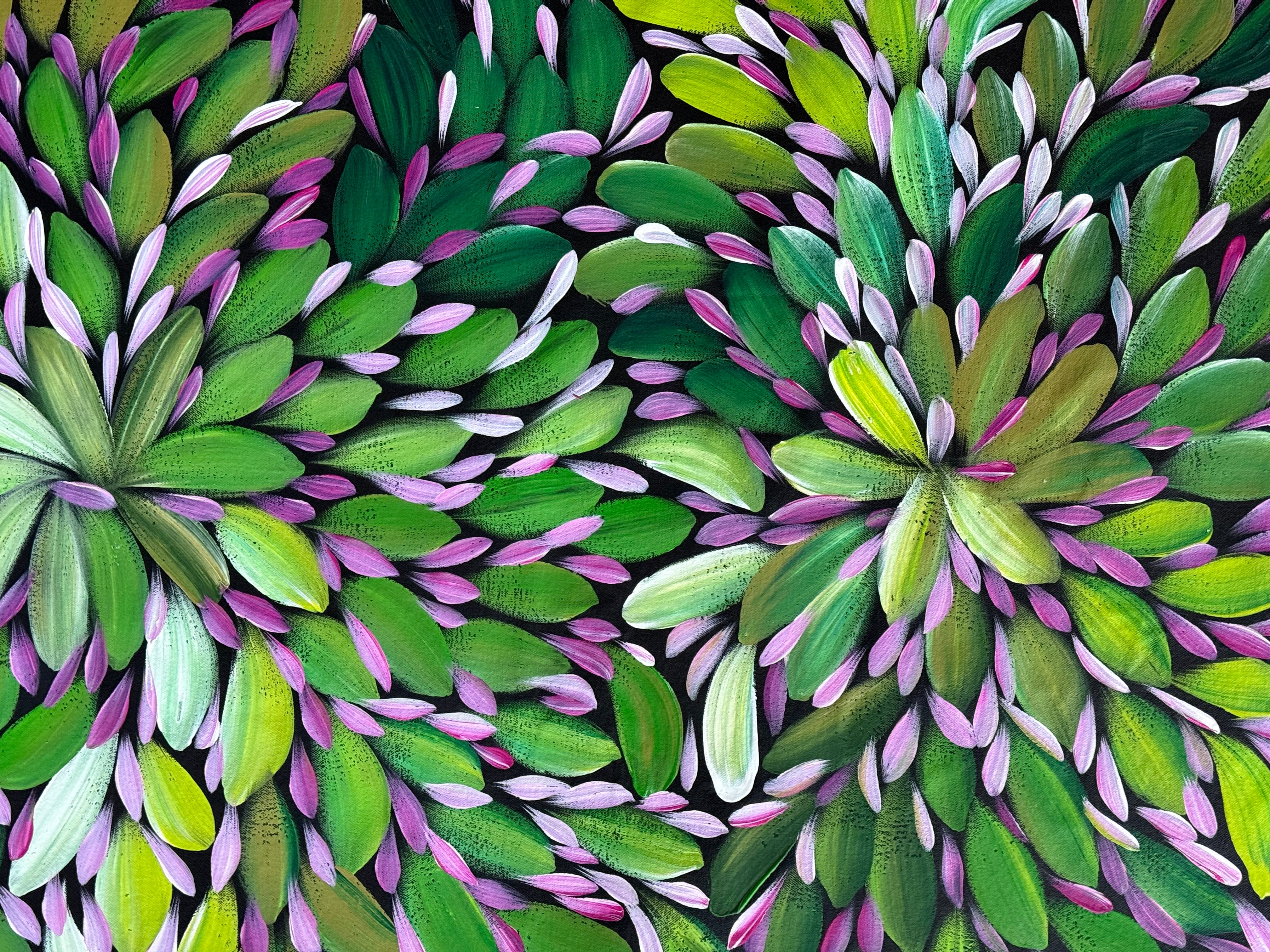 Louise Numina Napananka - Bush Medicine Leaves .16-30
