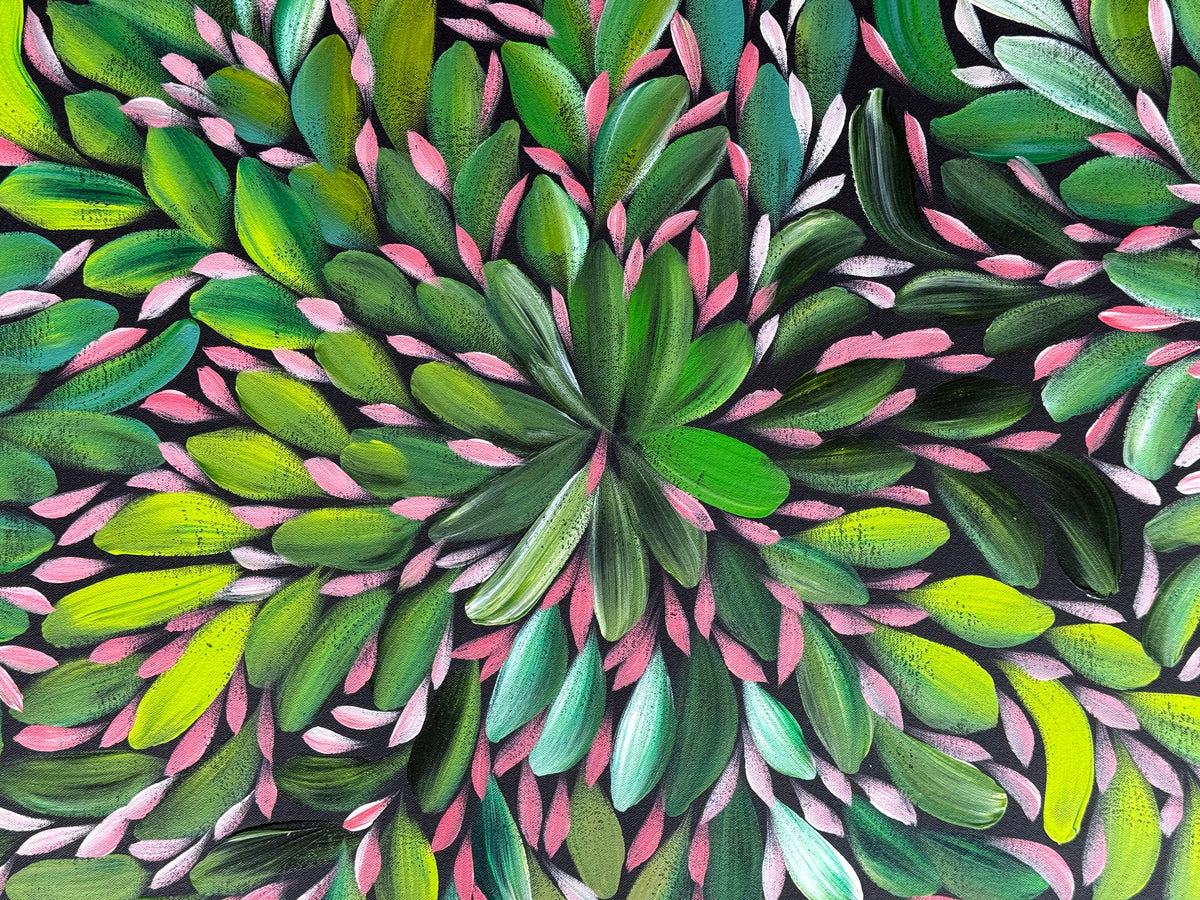 Louise Numina Napananka - Bush Medicine Leaves .22-18