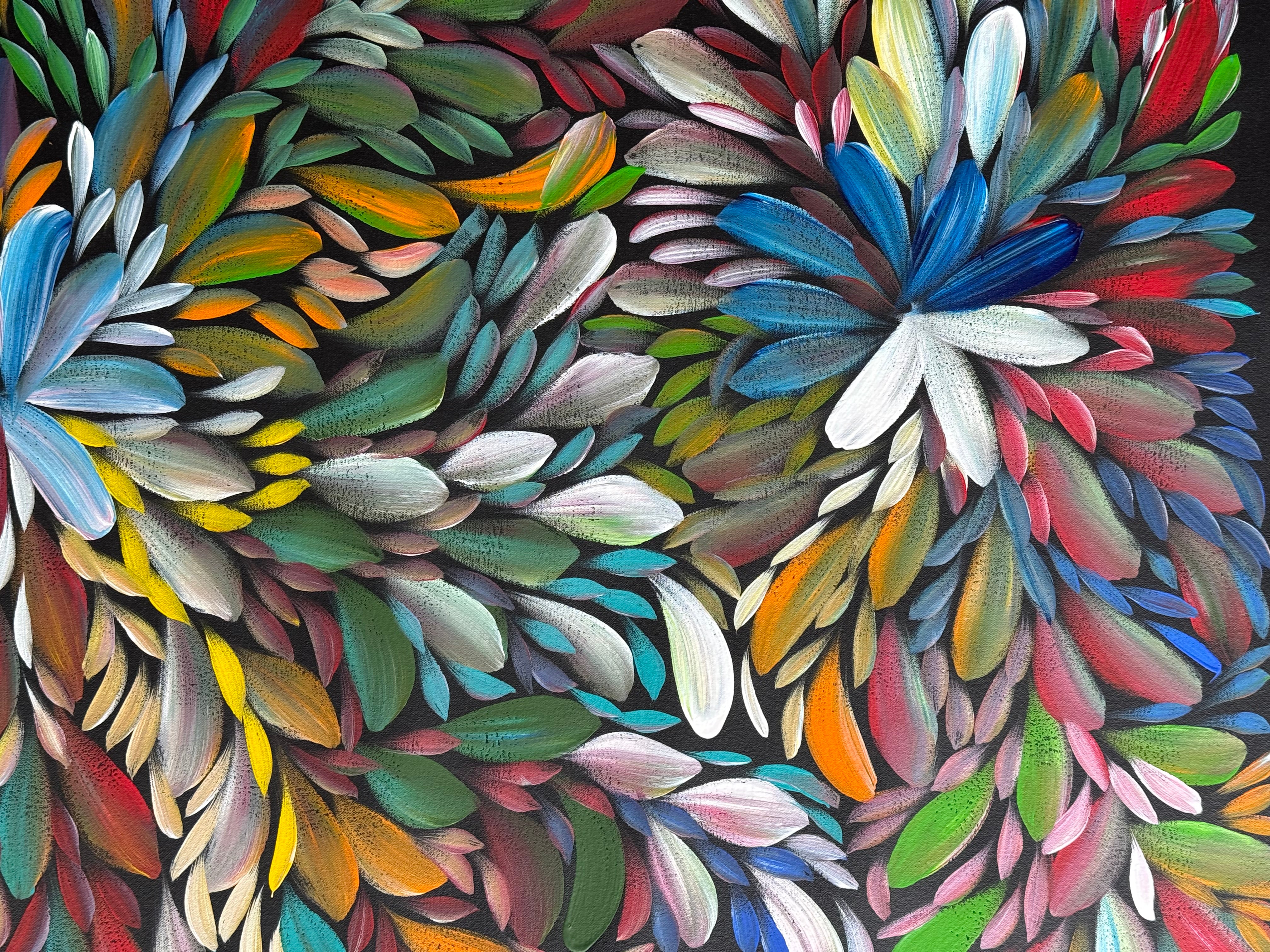 Louise Numina Napananka - Bush Medicine Leaves .22-38