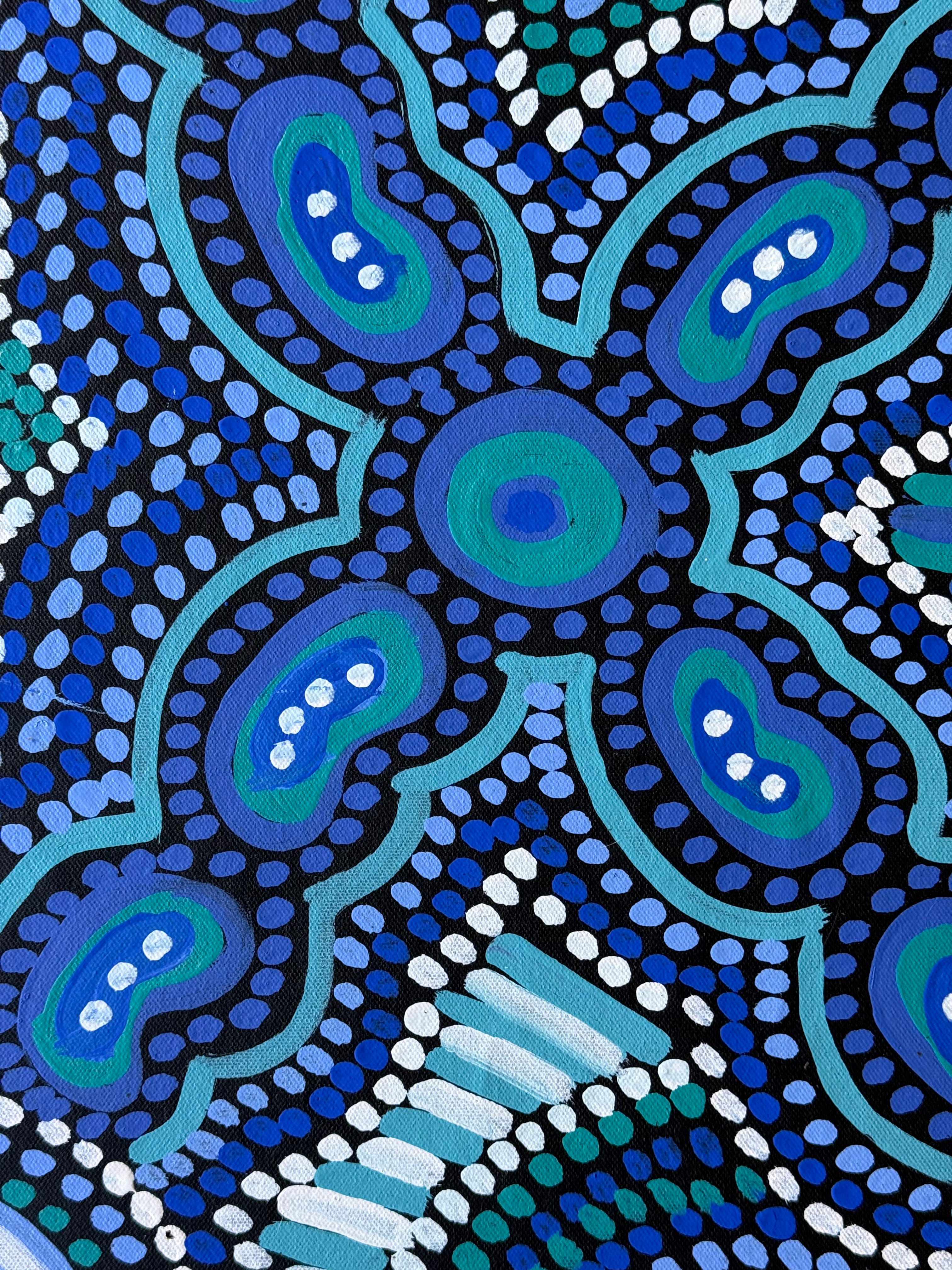 Pacinta Turner - My Country, Wallaby Tracks .11