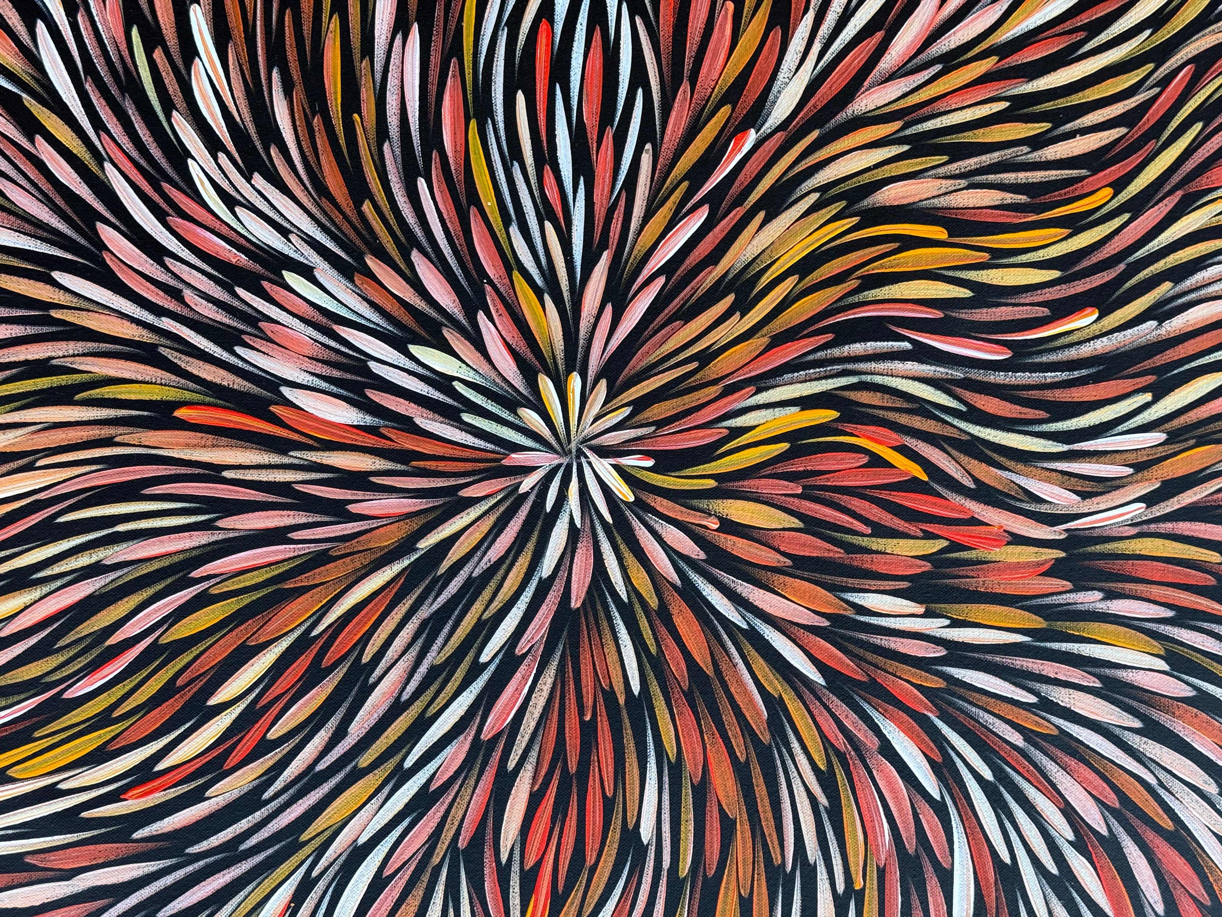 Sharon Numina - Bush Medicine Leaves .50-11