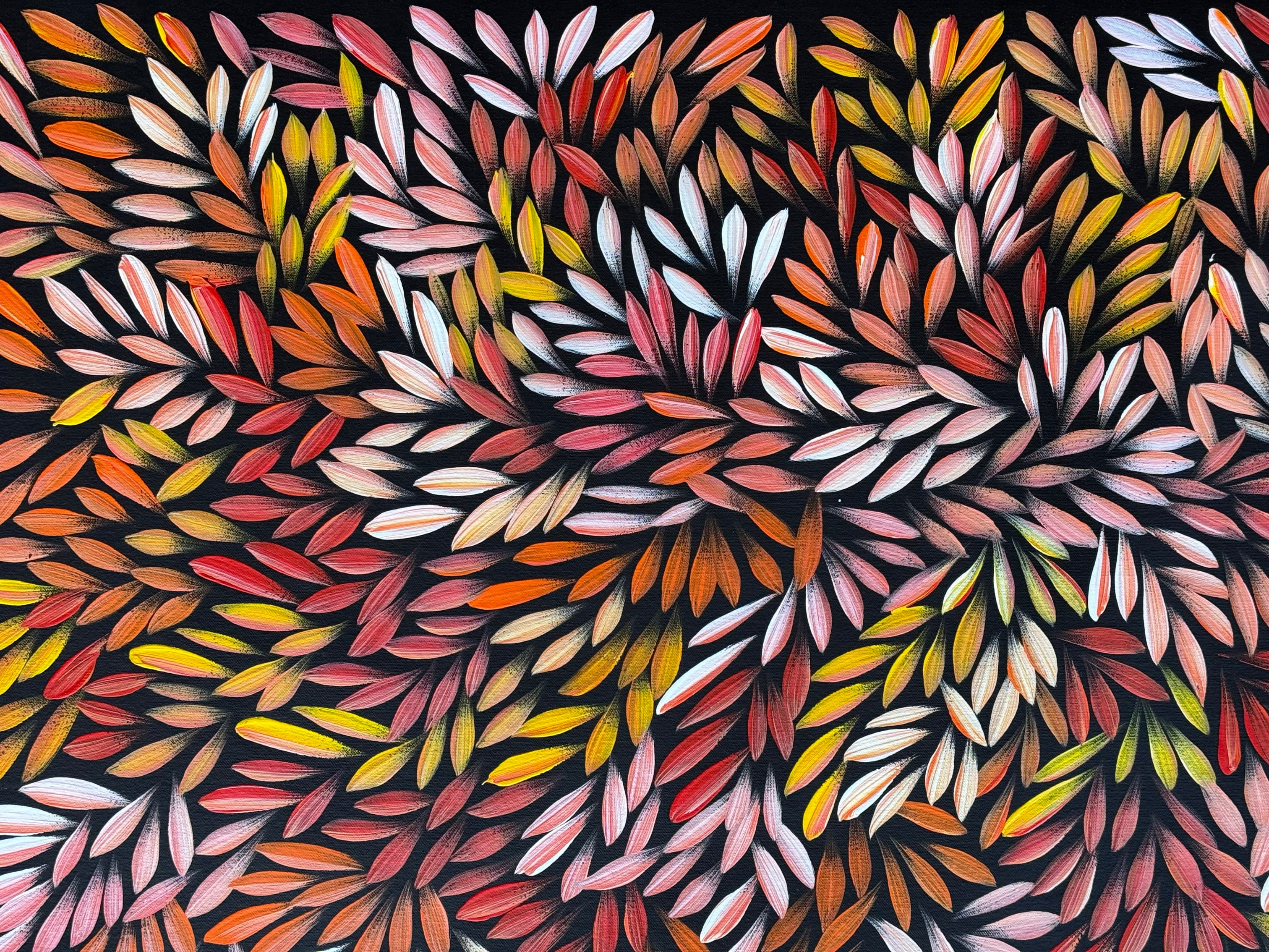 Sharon Numina - Bush Medicine Leaves .50-15