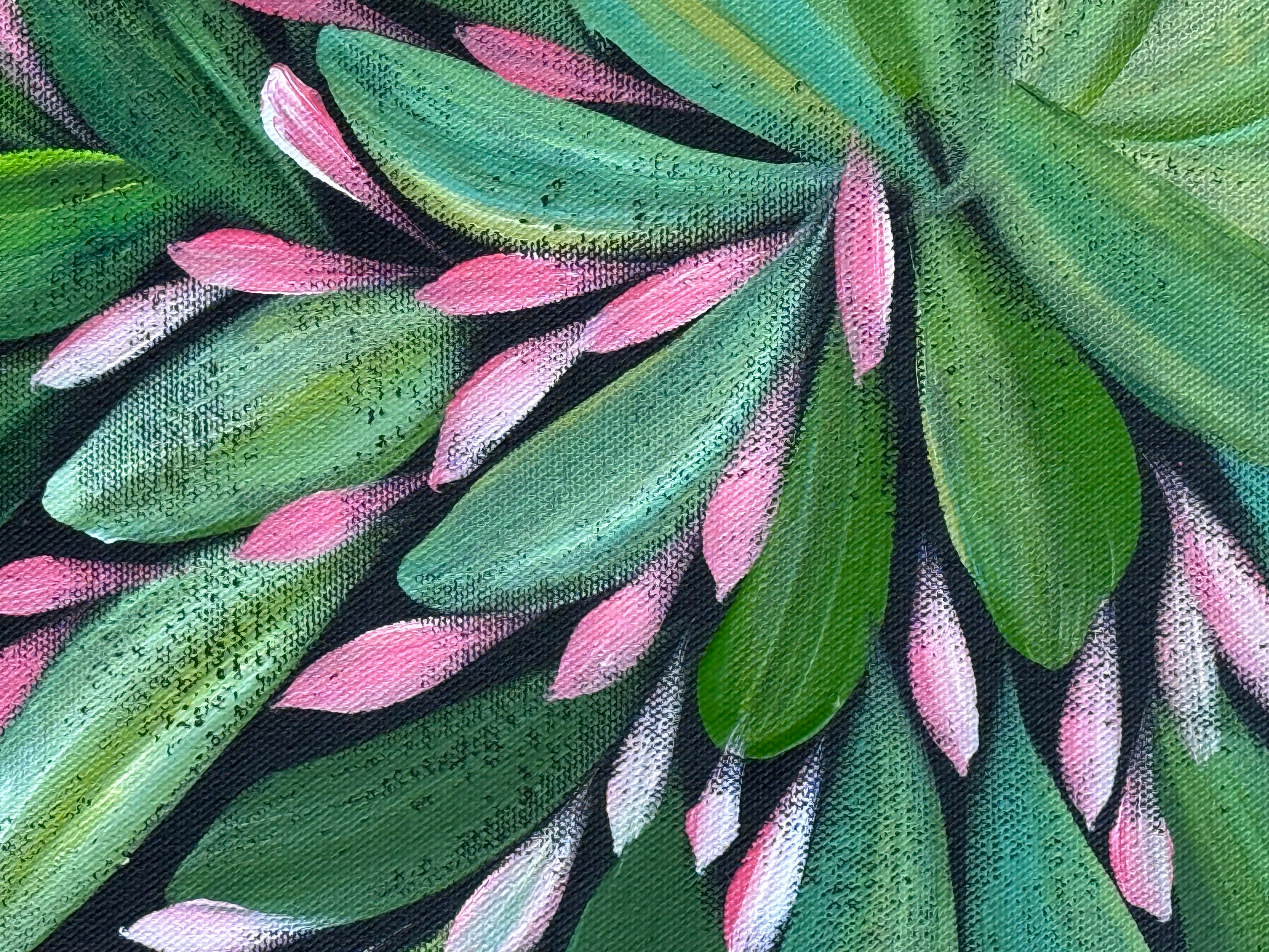 Louise Numina Napananka - Bush Medicine Leaves .22-2