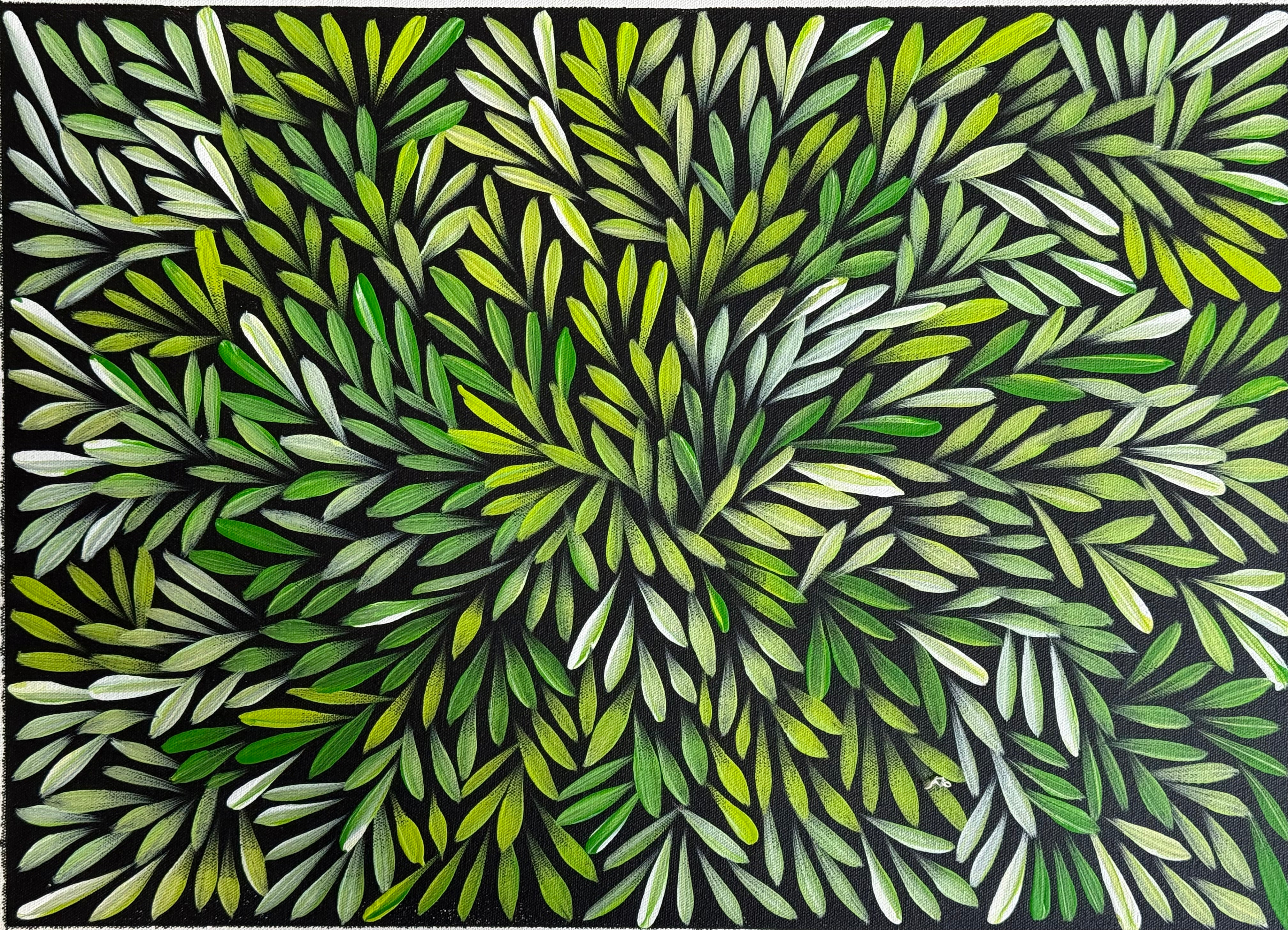 Sharon Numina - Bush Medicine Leaves .14-47