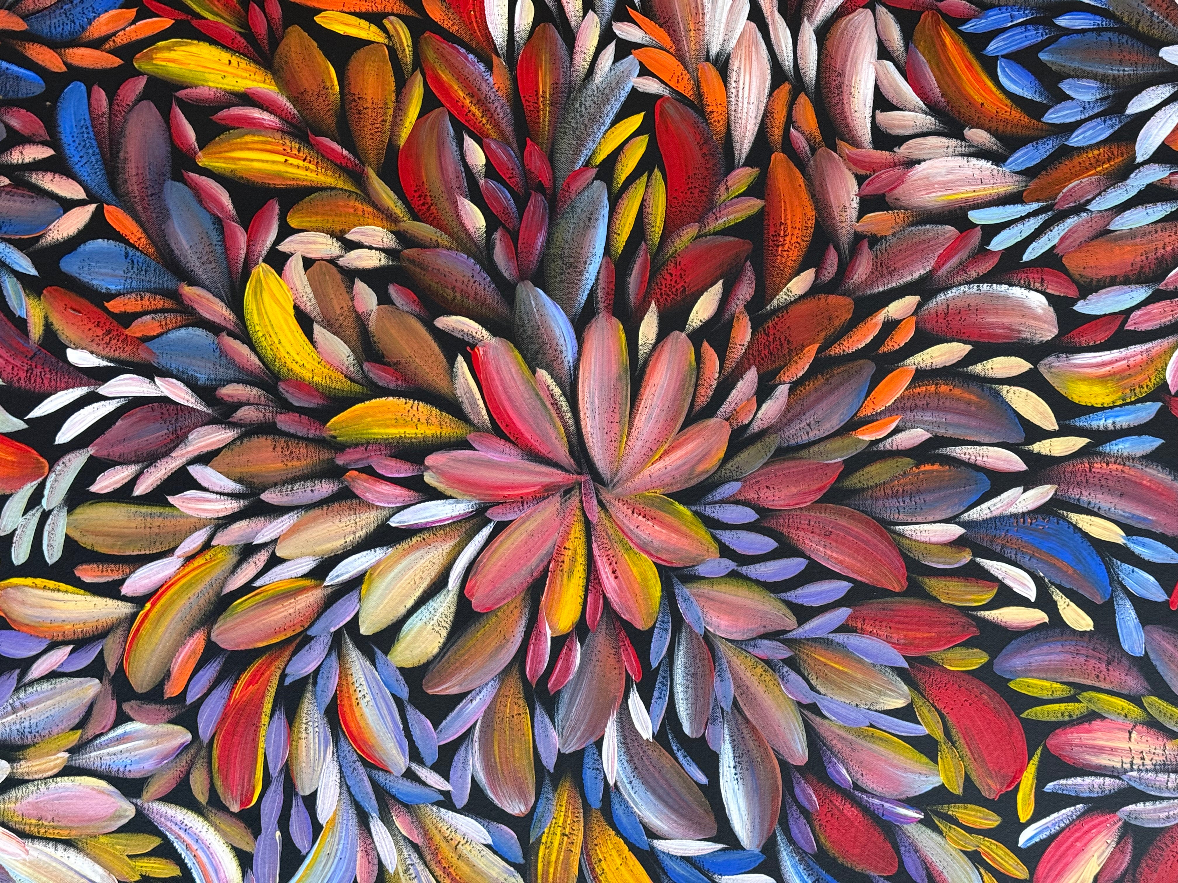 Louise Numina Napananka - Bush Medicine Leaves .29-3