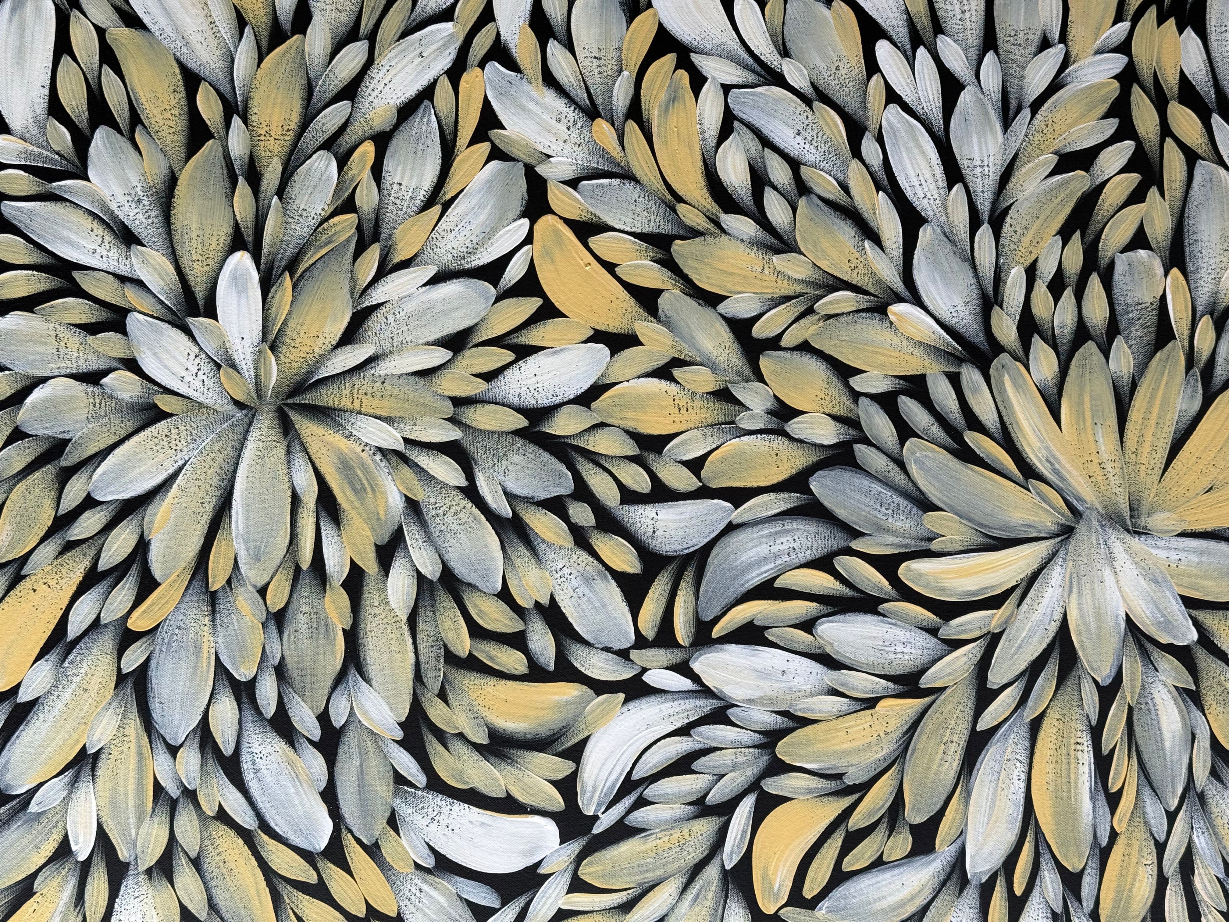 Louise Numina Napananka - Bush Medicine Leaves .57-43