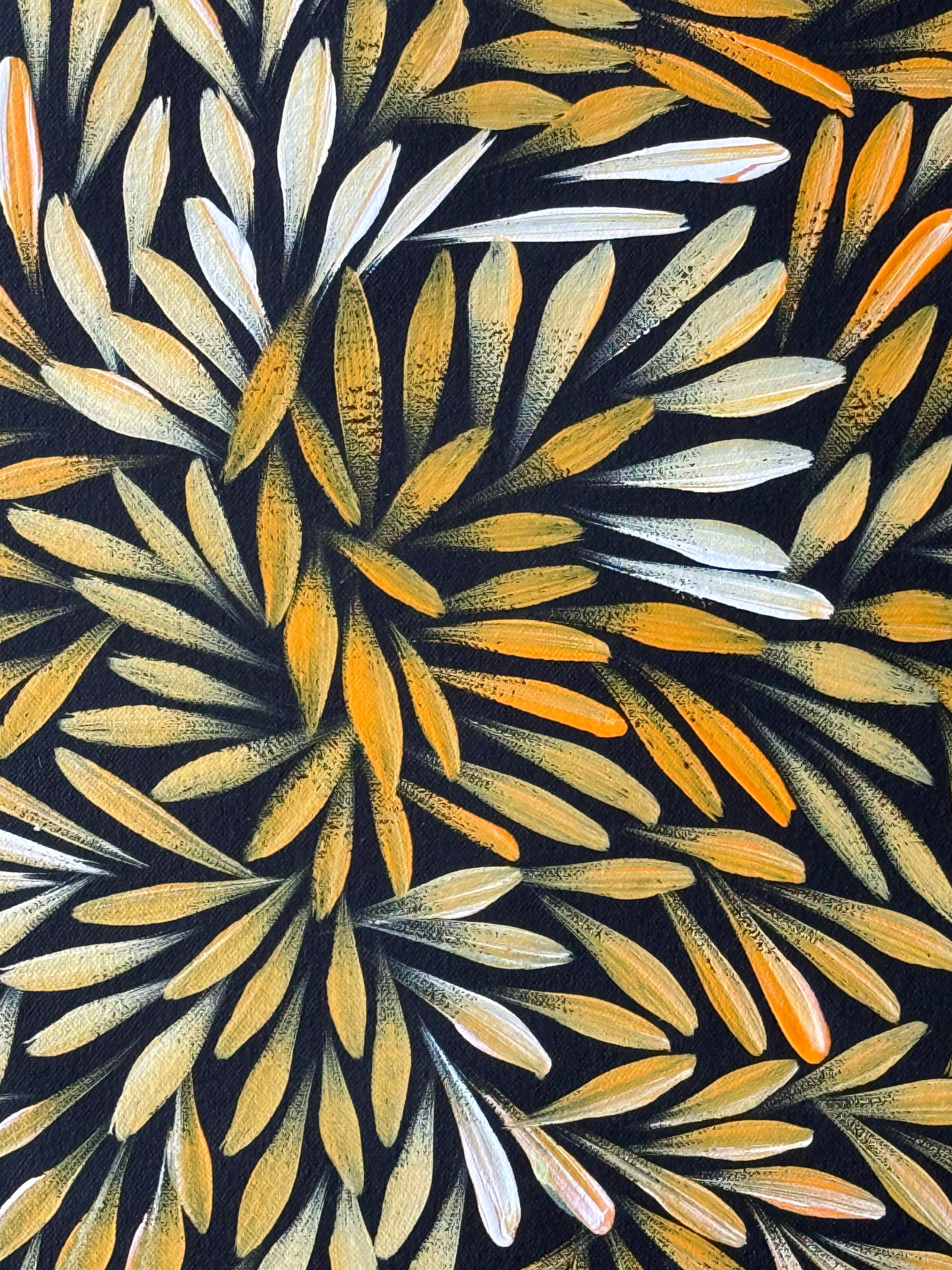 Sharon Numina - Bush Medicine Leaves - 65x52cm .02-25