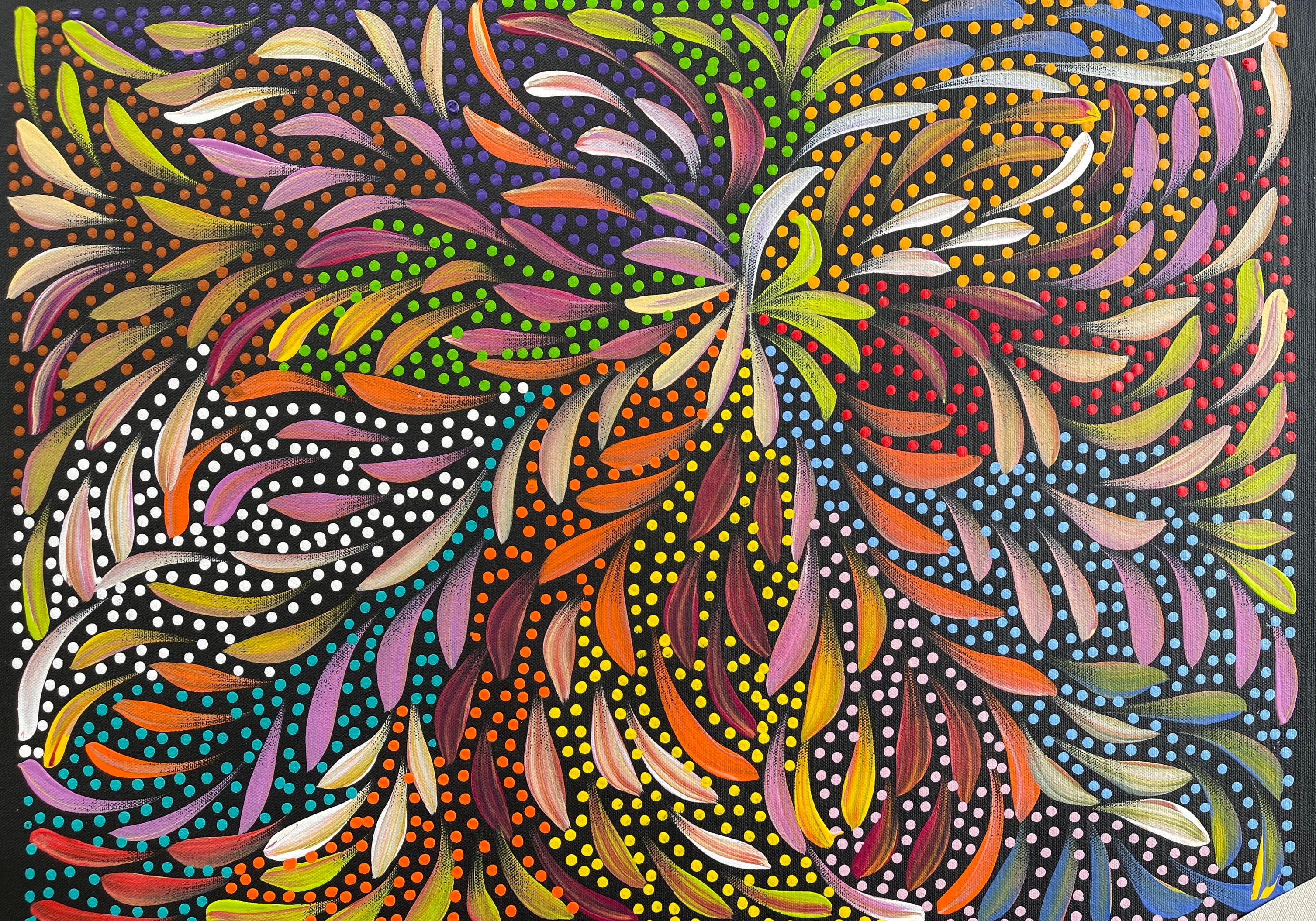 Caroline Numina - Bush Medicine Leaves and Seeds - 55x41cm .60-9