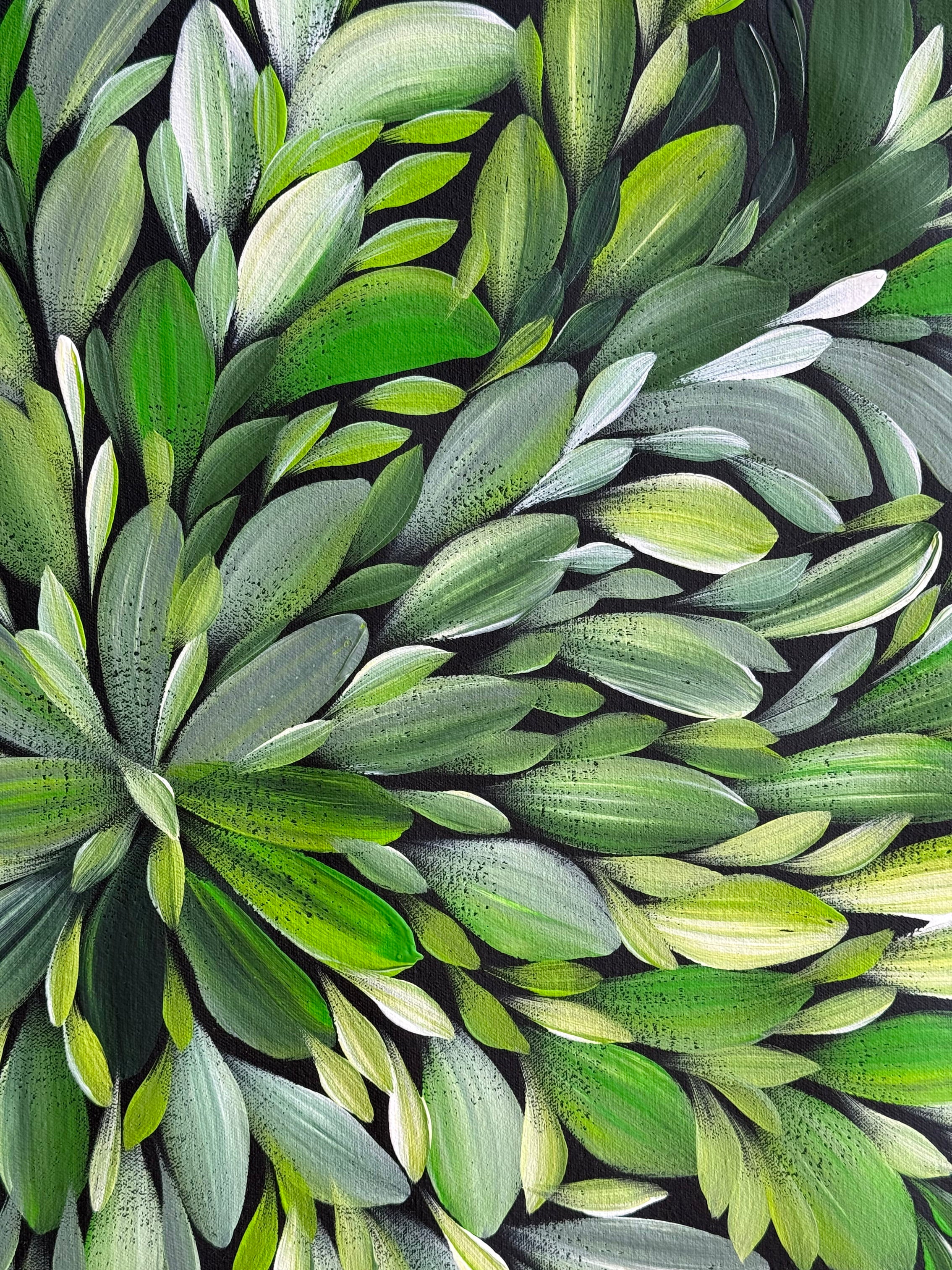 Louise Numina Napananka - Bush Medicine Leaves - 61x61cm .18-10