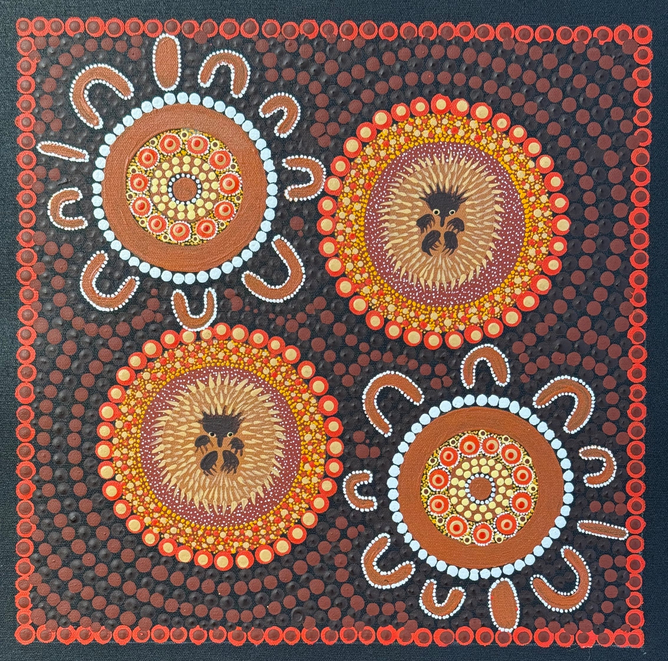 Kathleen Buzzacott - Family Hunting Echidna - 30x30cm .17-7