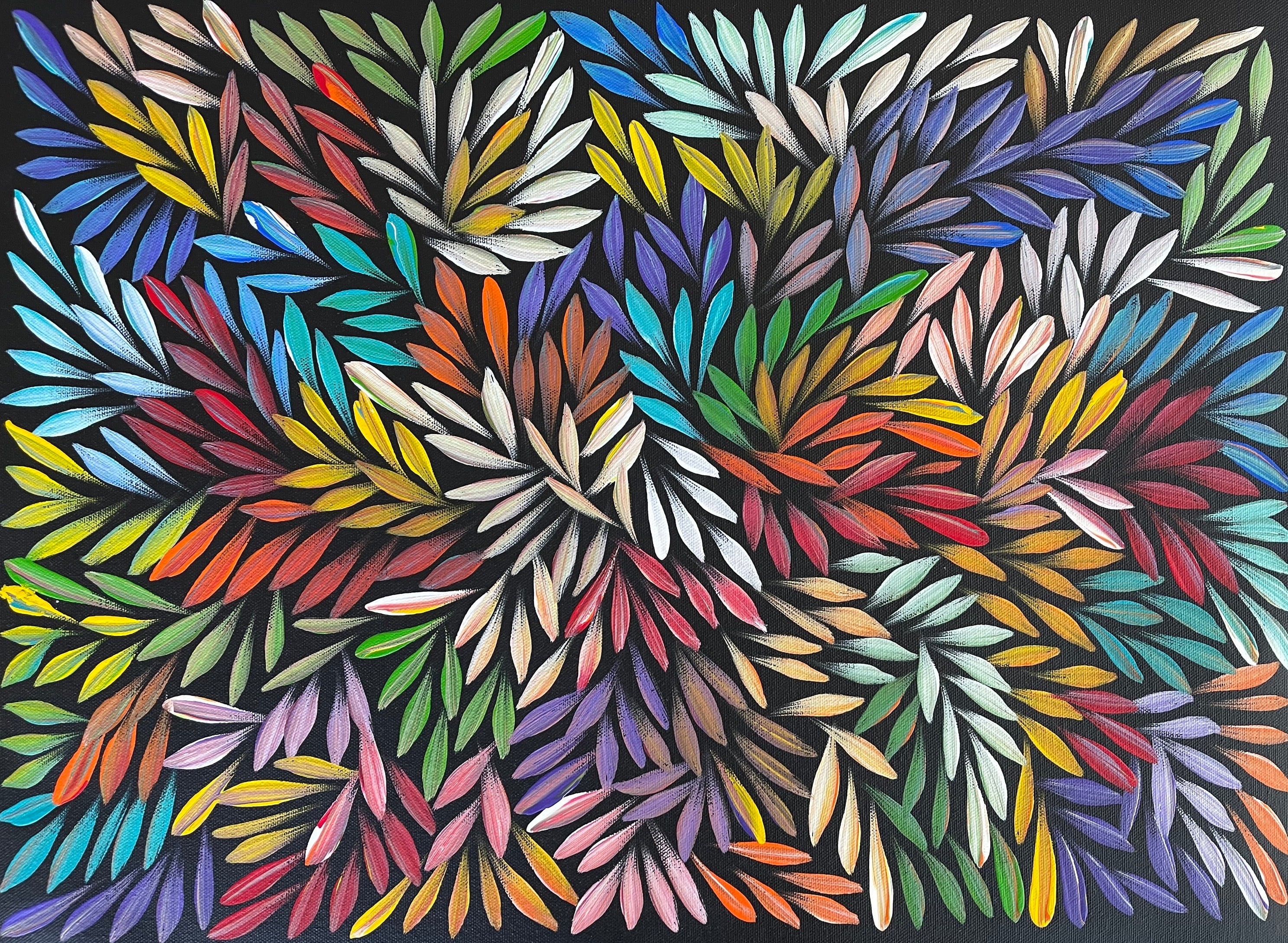 Sharon Numina - Bush Medicine Leaves- 38x53cm .76-13