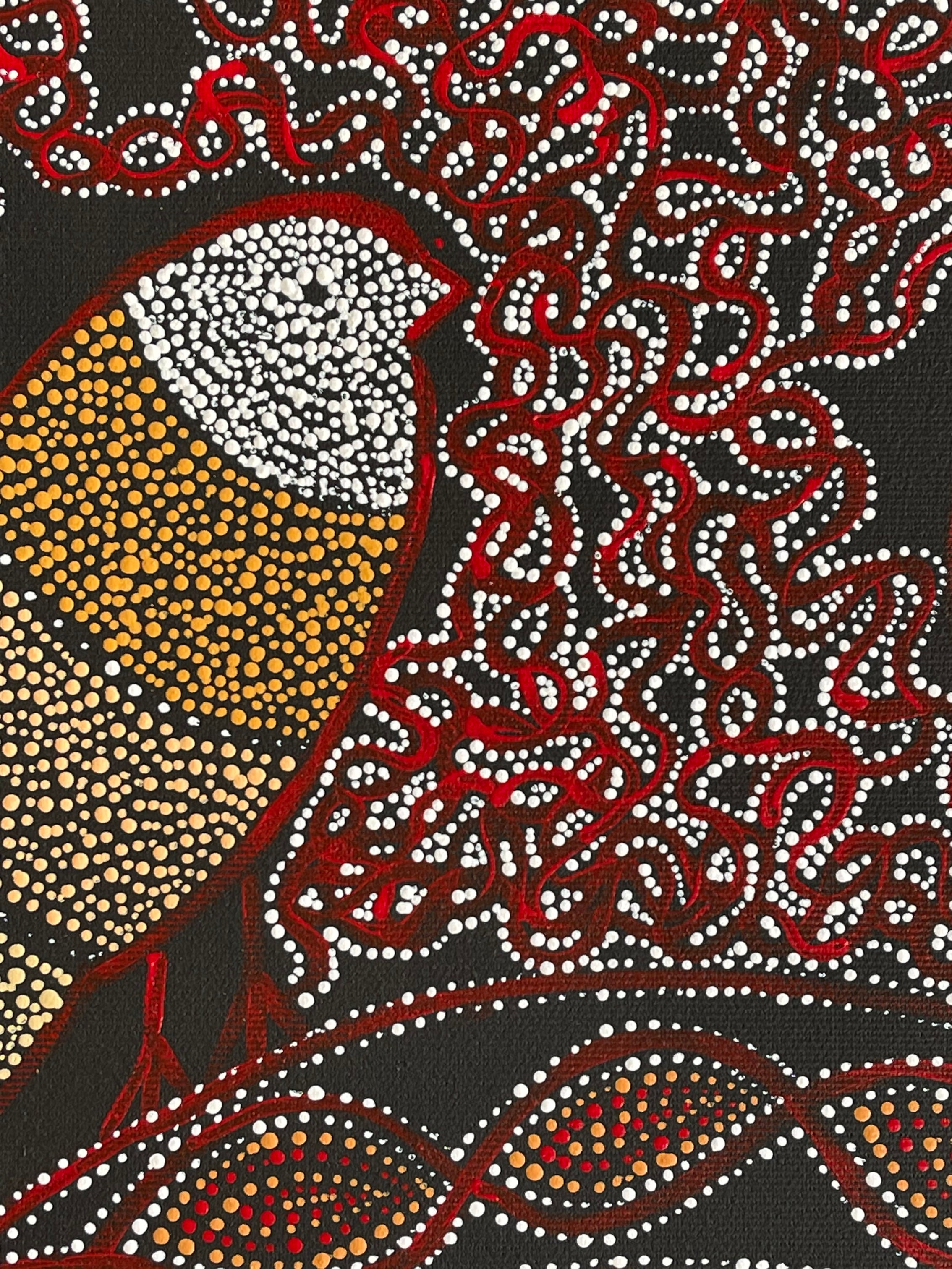 Geraldine Napangardi Granites - Jurlu kuja kalu nyinami Yurntumu-wana (Birds that live around Yuendumu) - 30x30cm Stretched