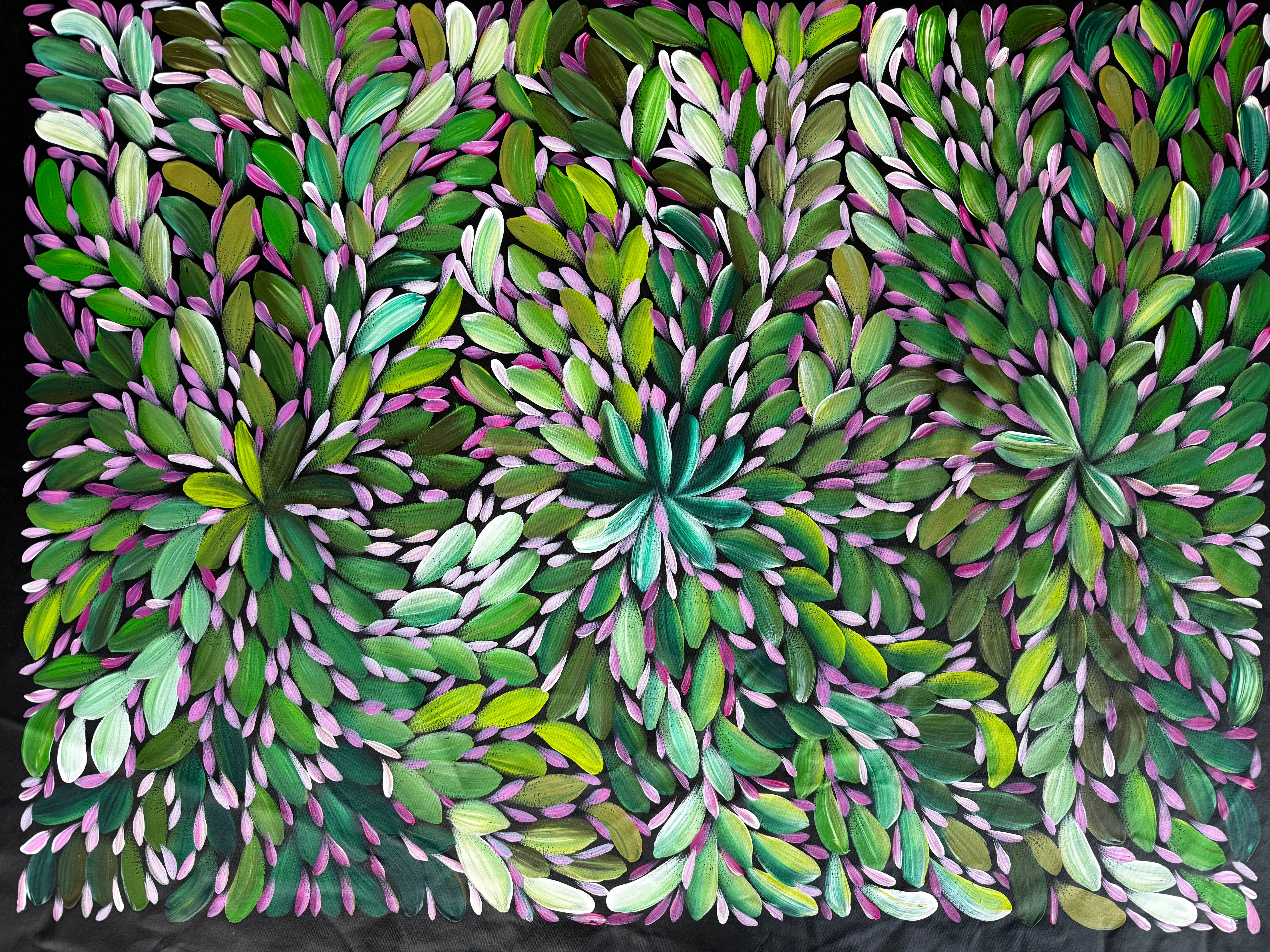 Louise Numina Napananka - Bush Medicine Leaves .16-29