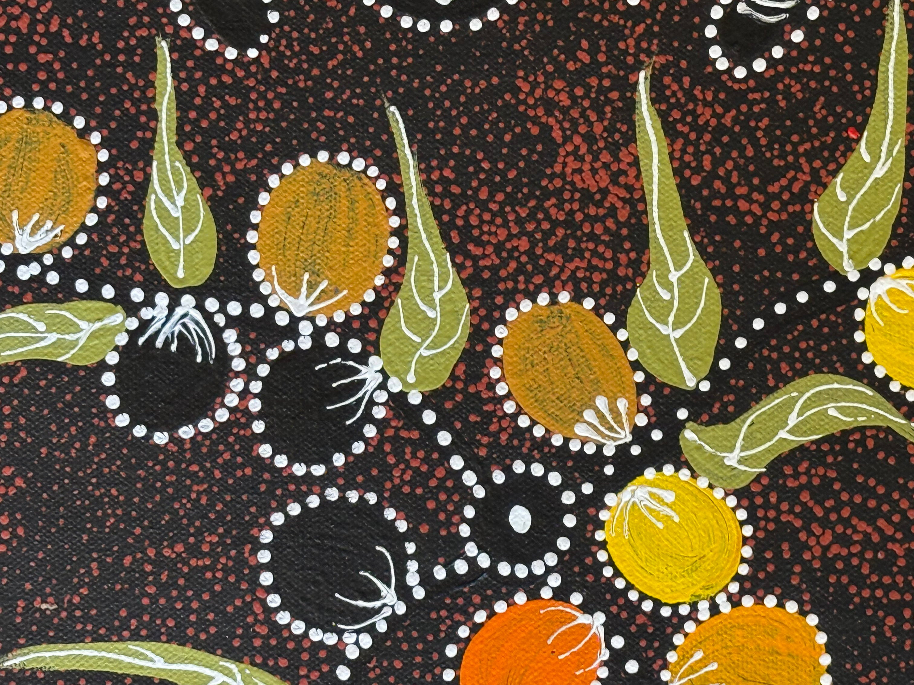 Caroline Numina - Women Gathering Bush Tomatoes .10-48