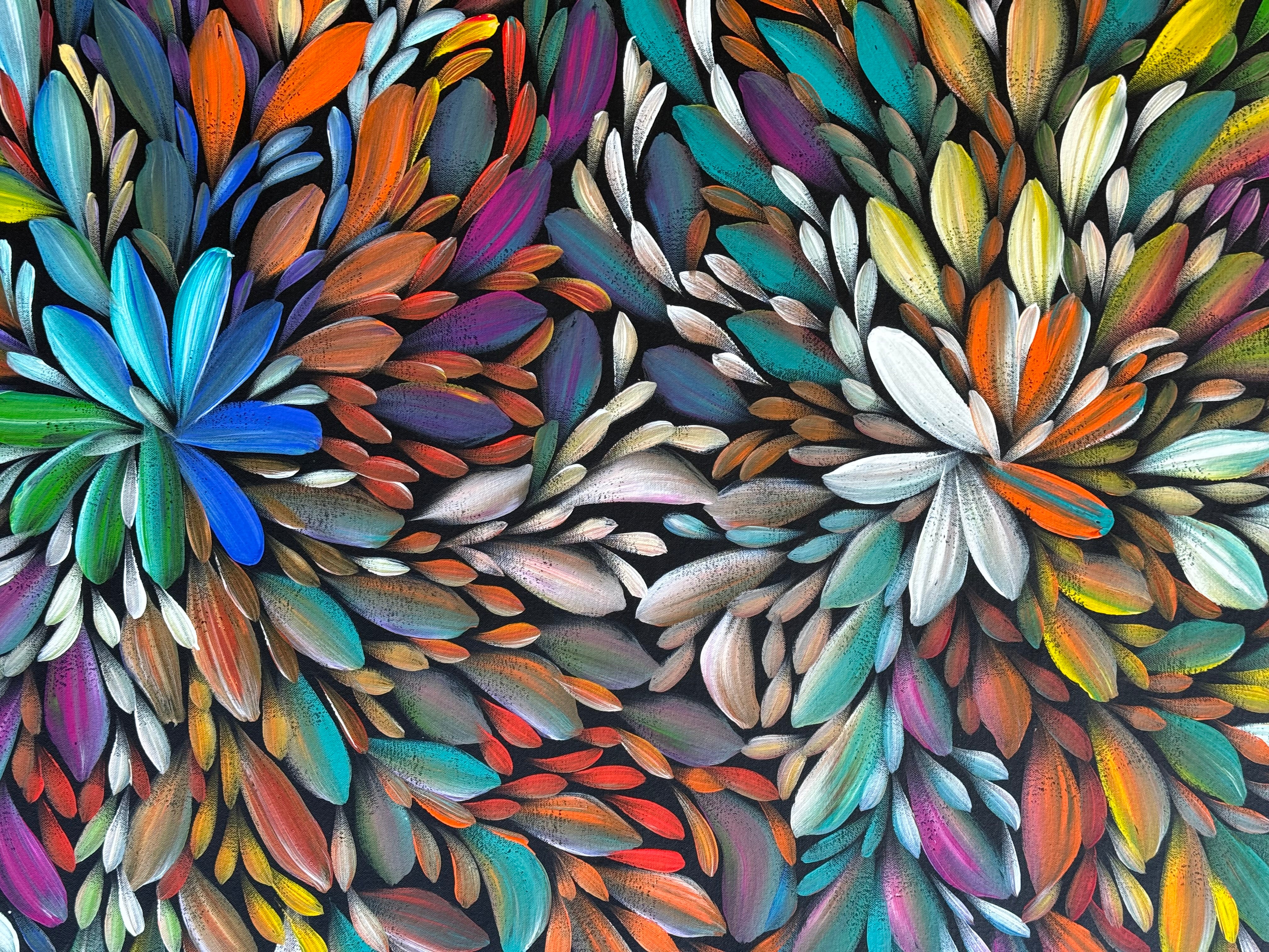 Louise Numina Napananka - Bush Medicine Leaves .49-37