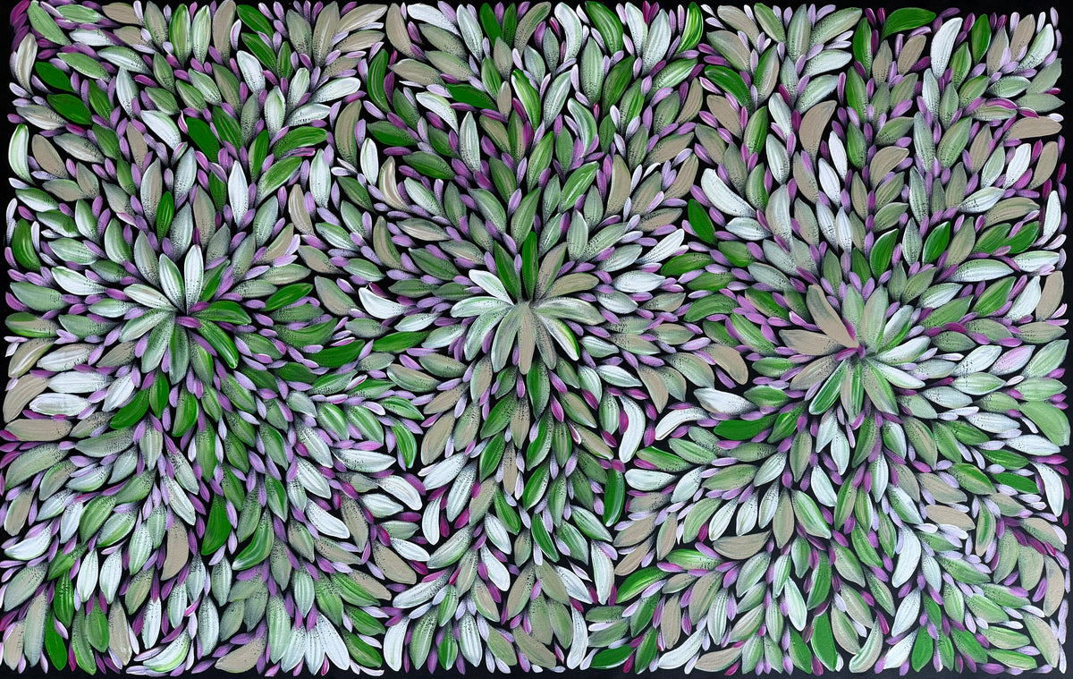 Louise Numina Napananka - Bush Medicine Leaves .43-16