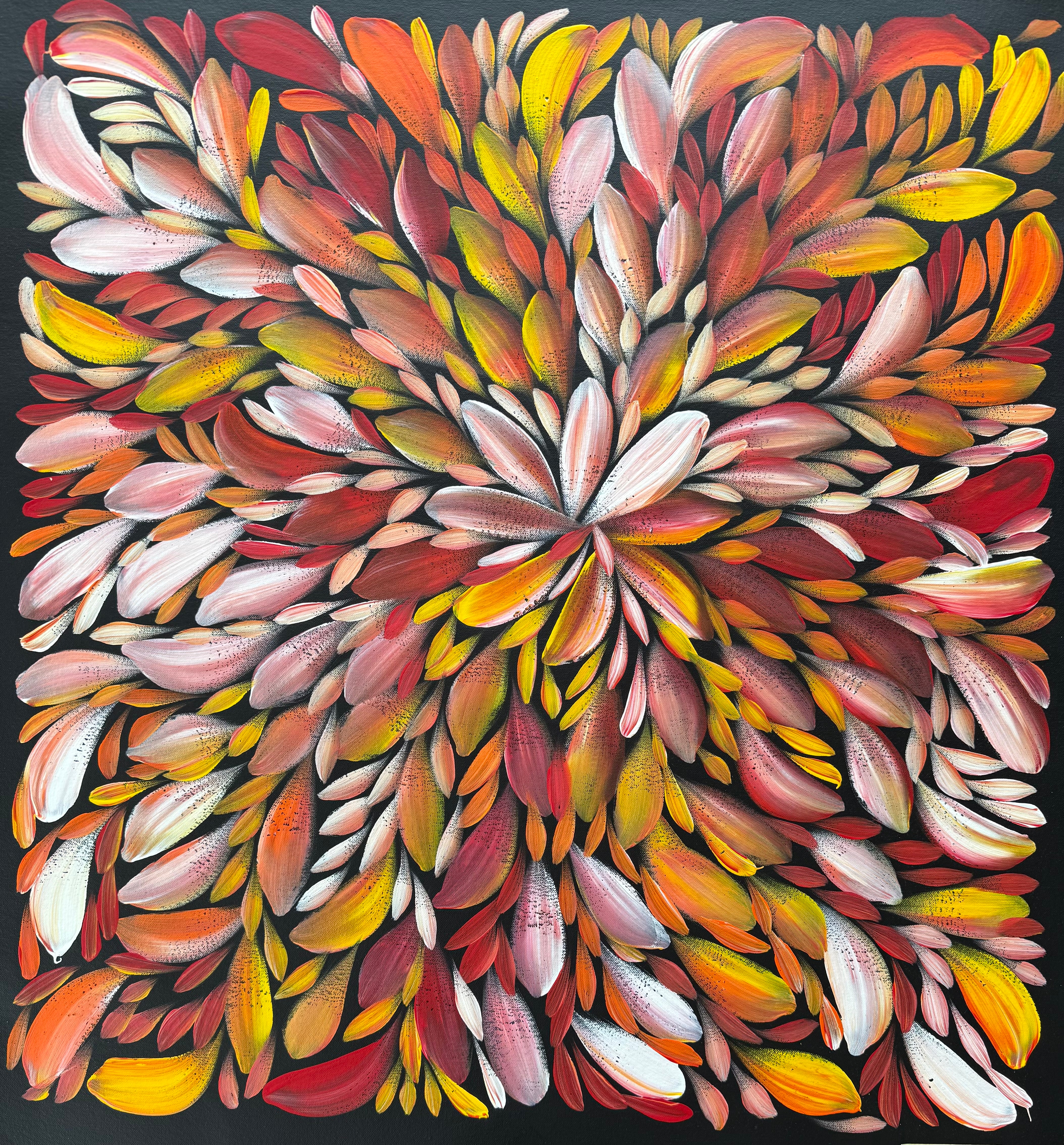 Louise Numina Napananka - Bush Medicine Leaves .75-6