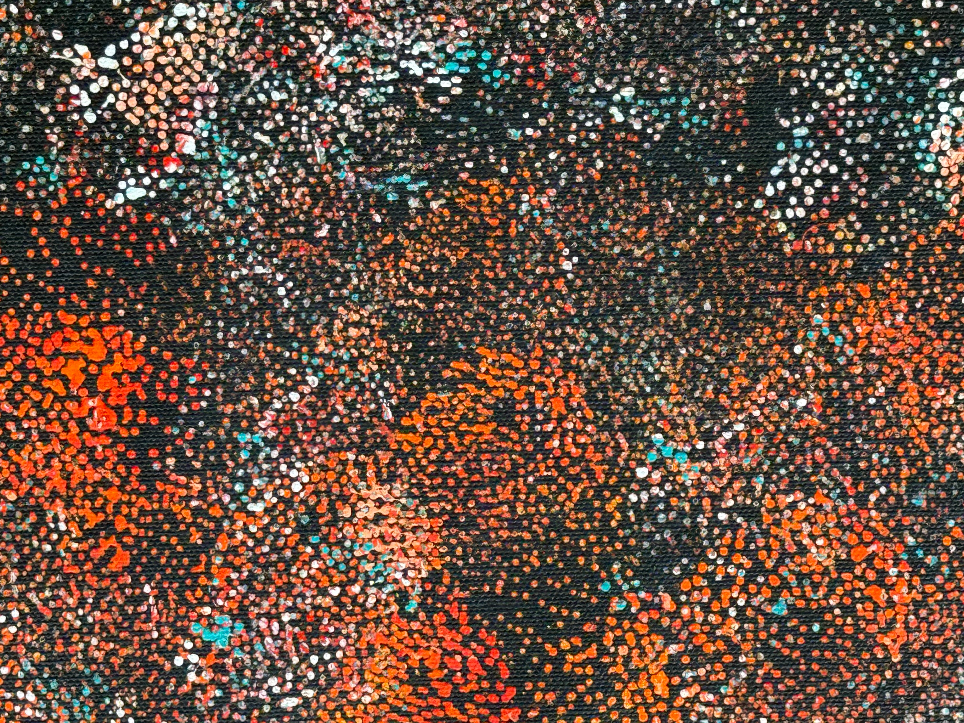Lanita Numina - Thorny Lizard Changing Colours .97-5