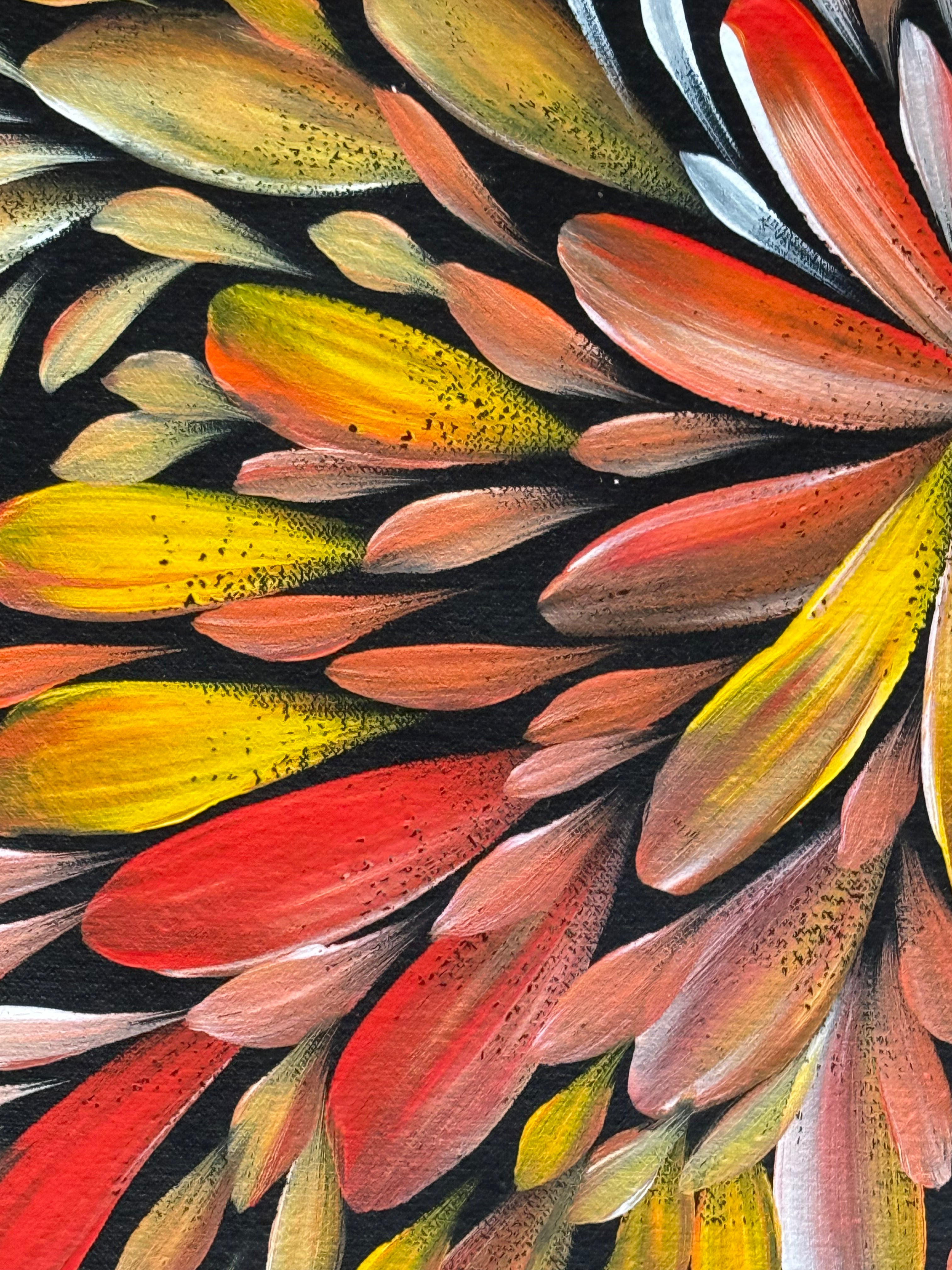 Louise Numina Napananka - Bush Medicine Leaves .16-57