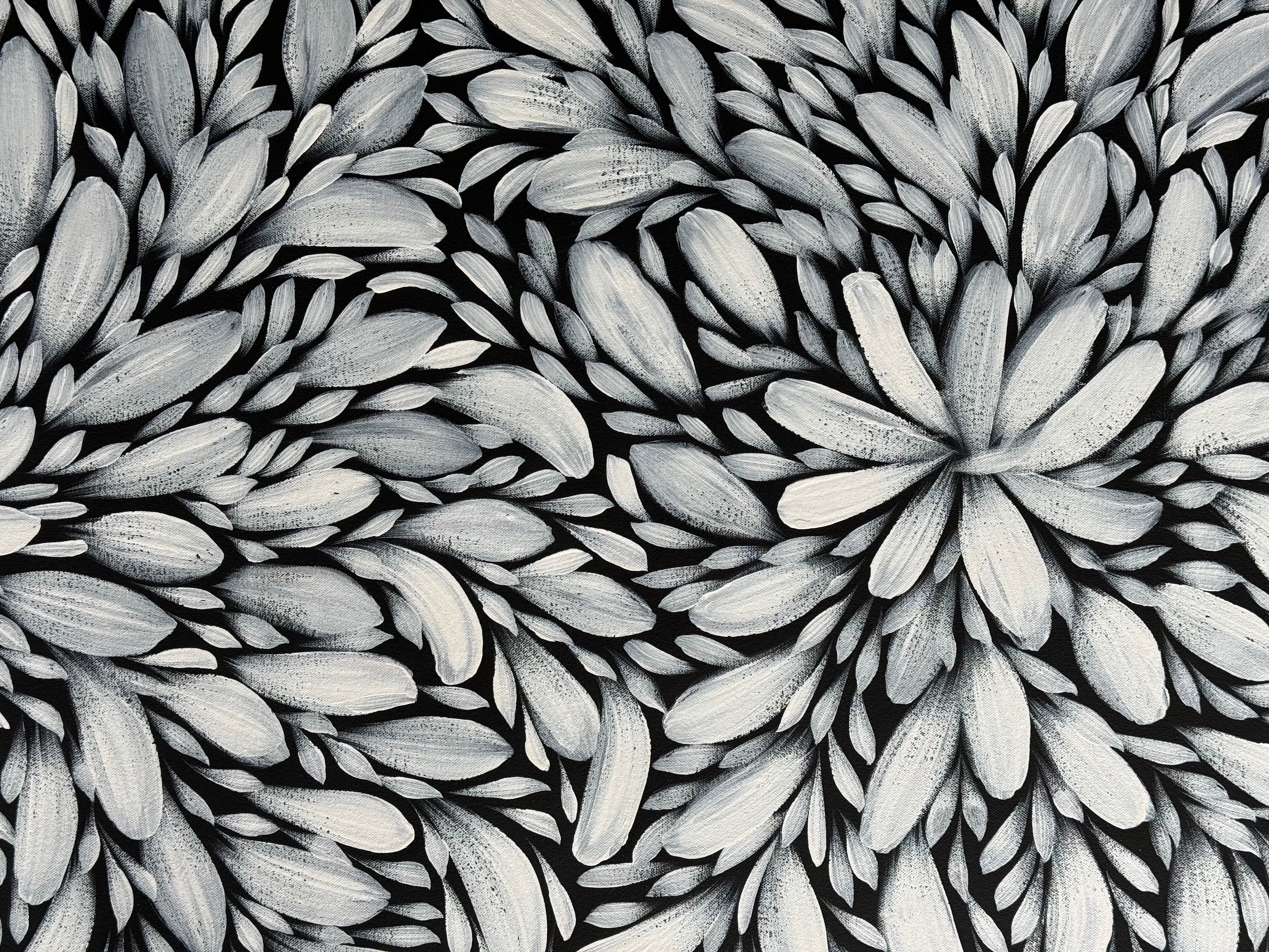 Louise Numina Napananka - Bush Medicine Leaves .16-75