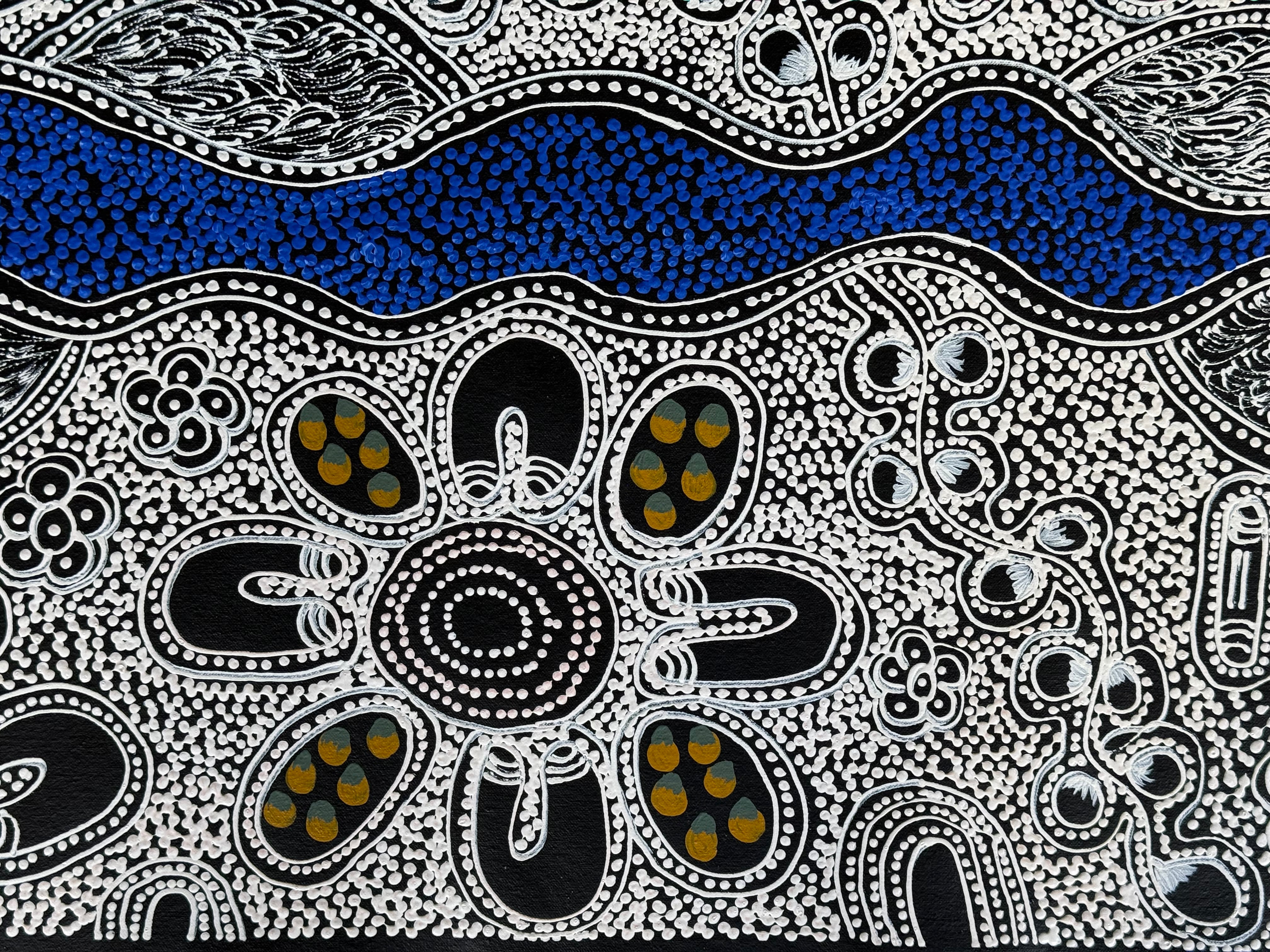 Lanita Numina - Wome Ceremonies, Collect Bushberries .15-23