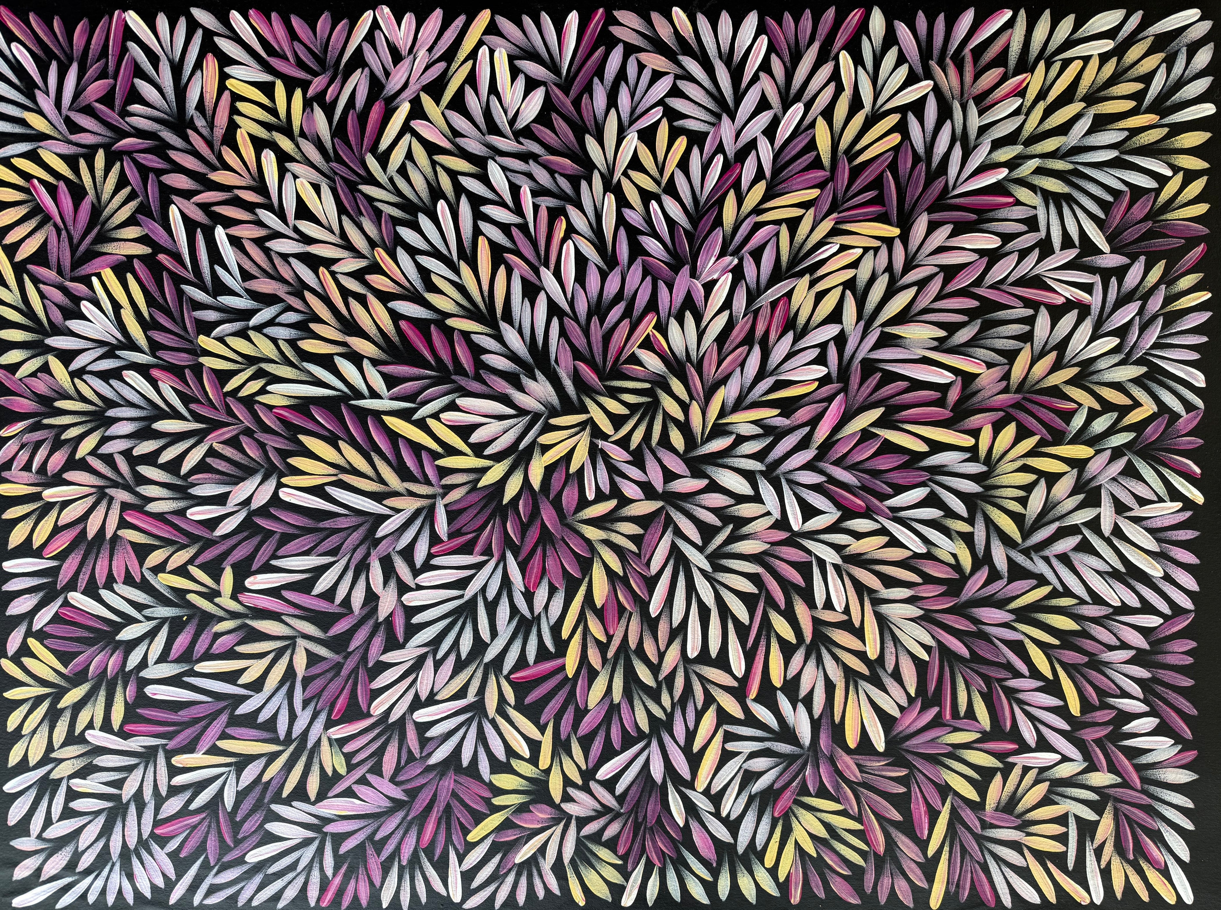 Sharon Numina - Bush Medicine Leaves - 69x92cm .14-44