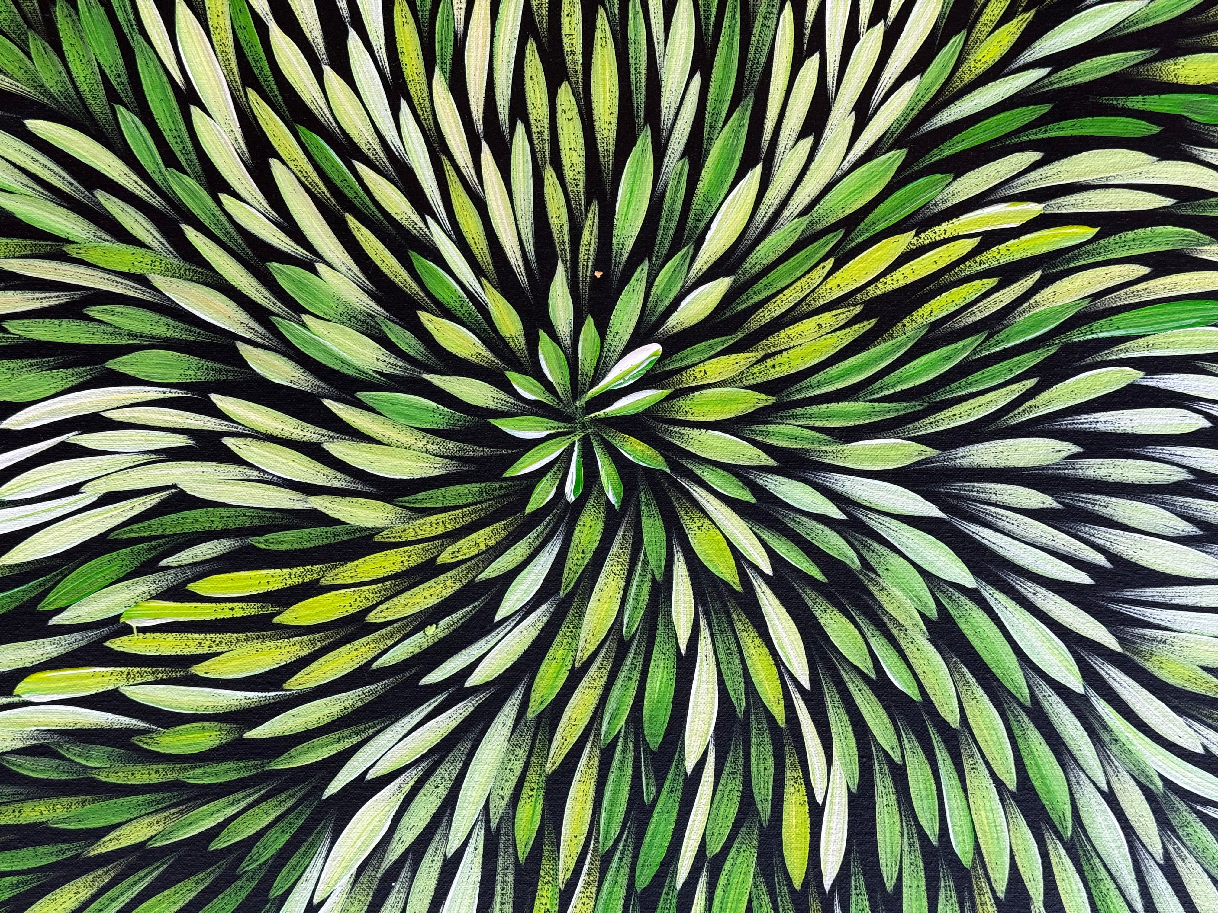 Sharon Numina - Bush Medicine Leaves .14-16