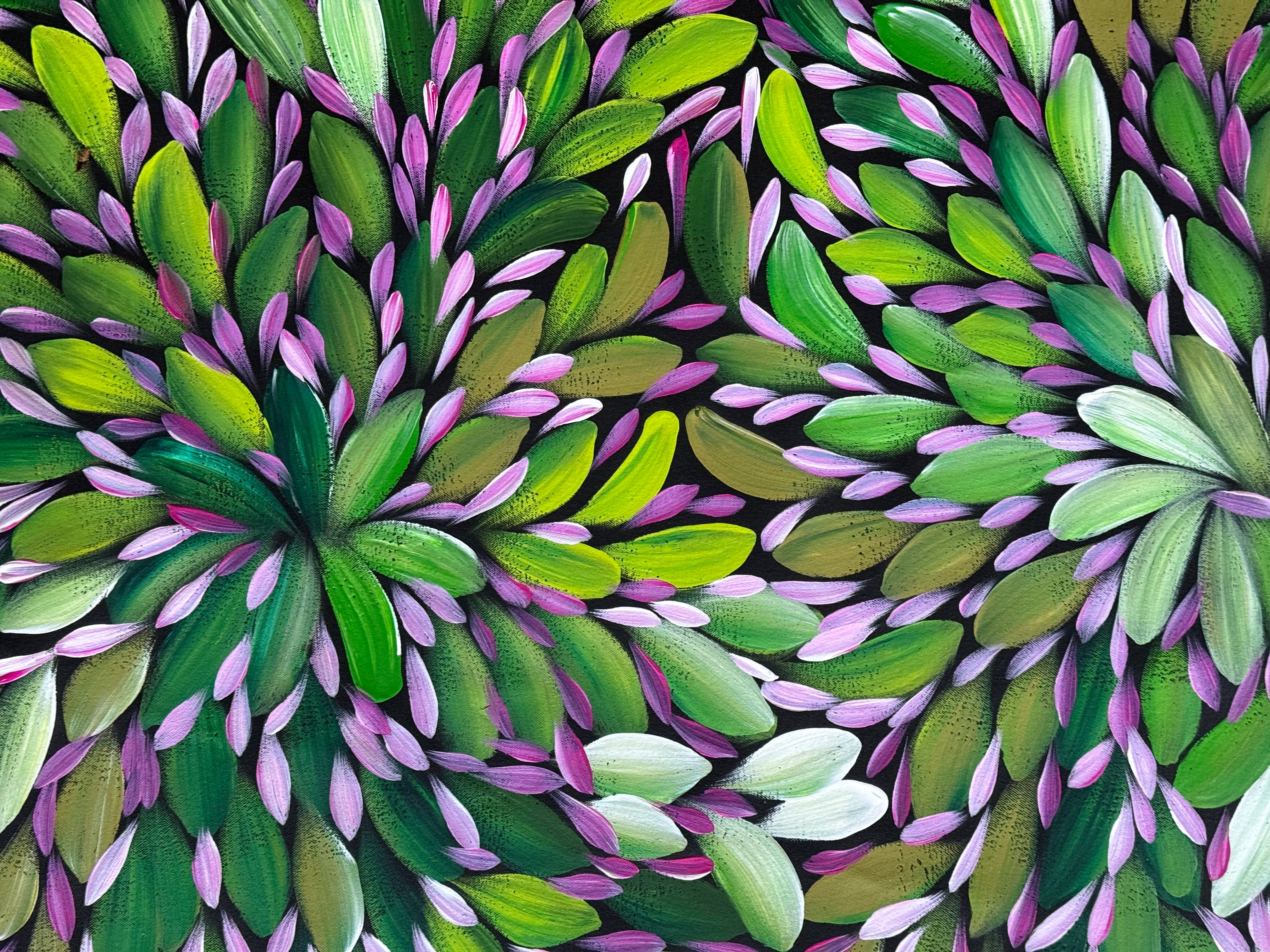 Louise Numina Napananka - Bush Medicine Leaves .16-30
